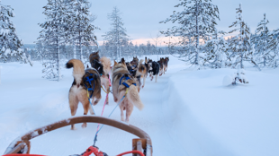 Bienvenue en Laponie !