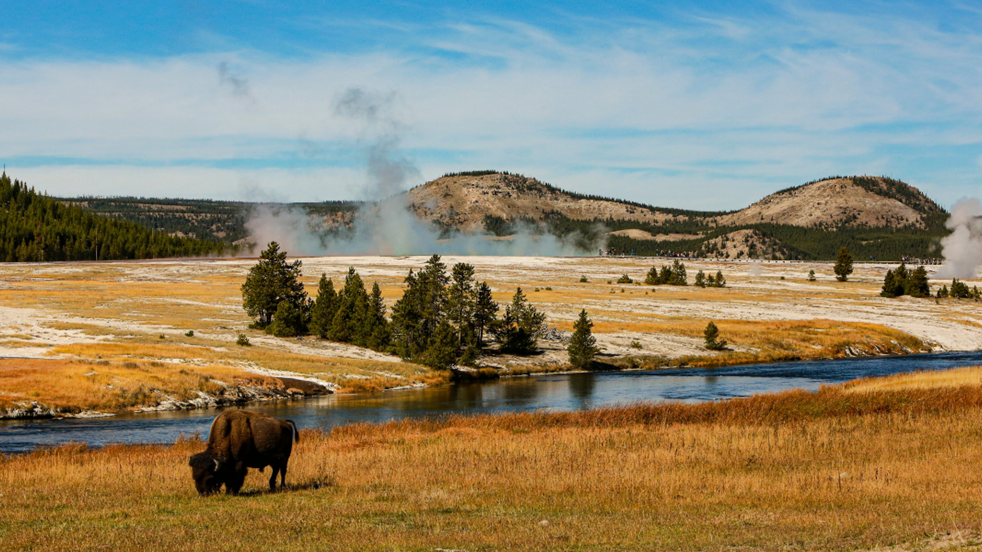 Le Yellowstone entre faune et phénomènes géothermiques - jours 9 et 10