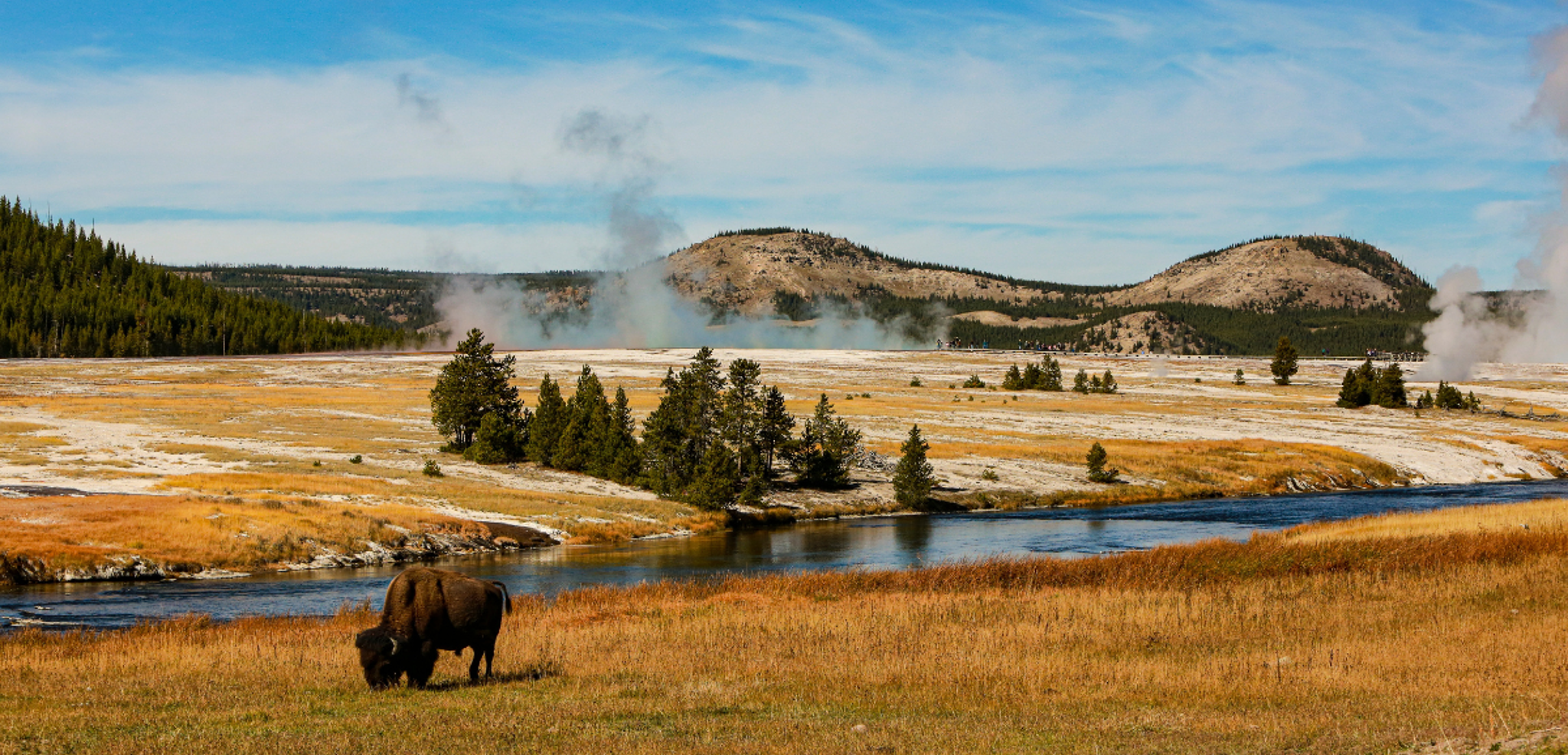 Le Yellowstone entre faune et phénomènes géothermiques - jours 9 et 10