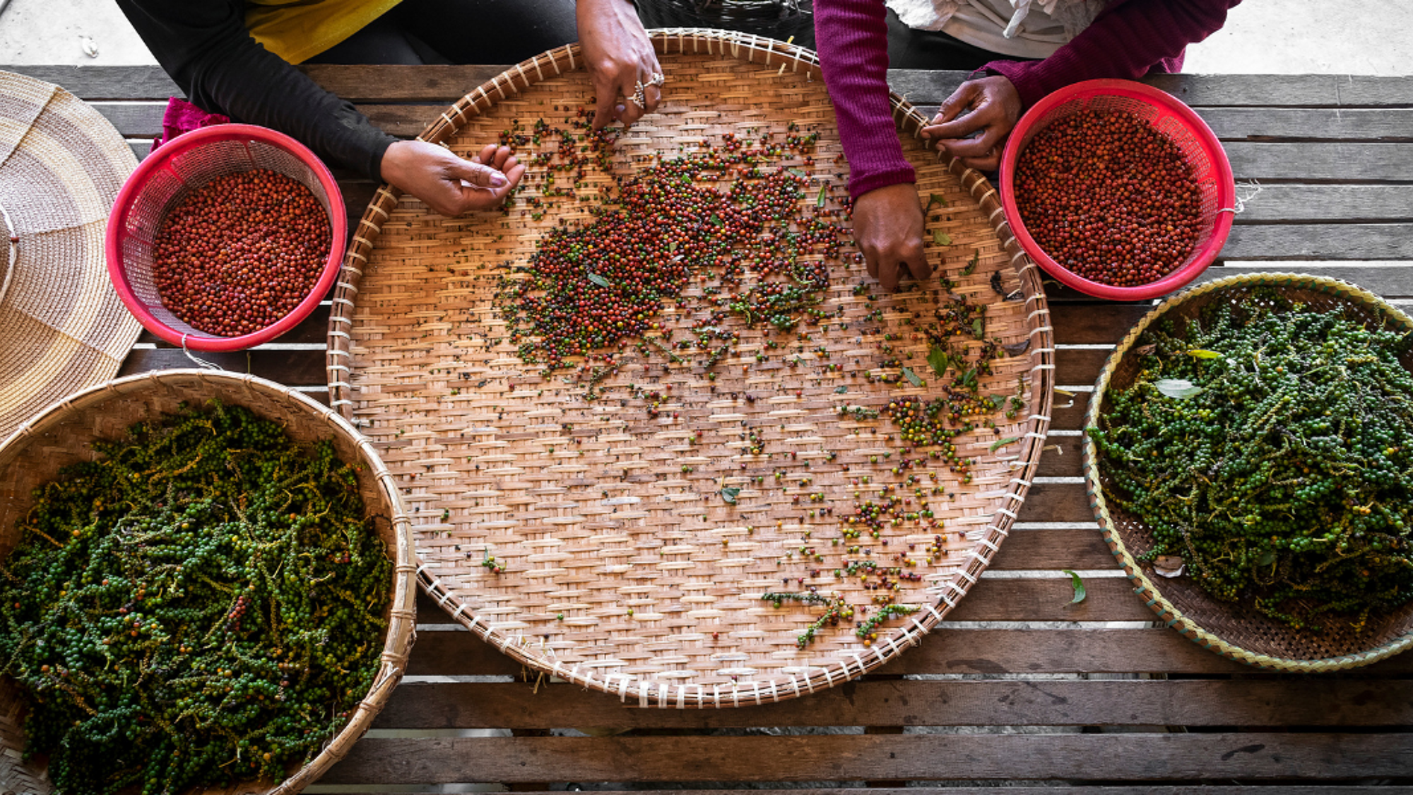 Le célèbre poivre de Kampot
