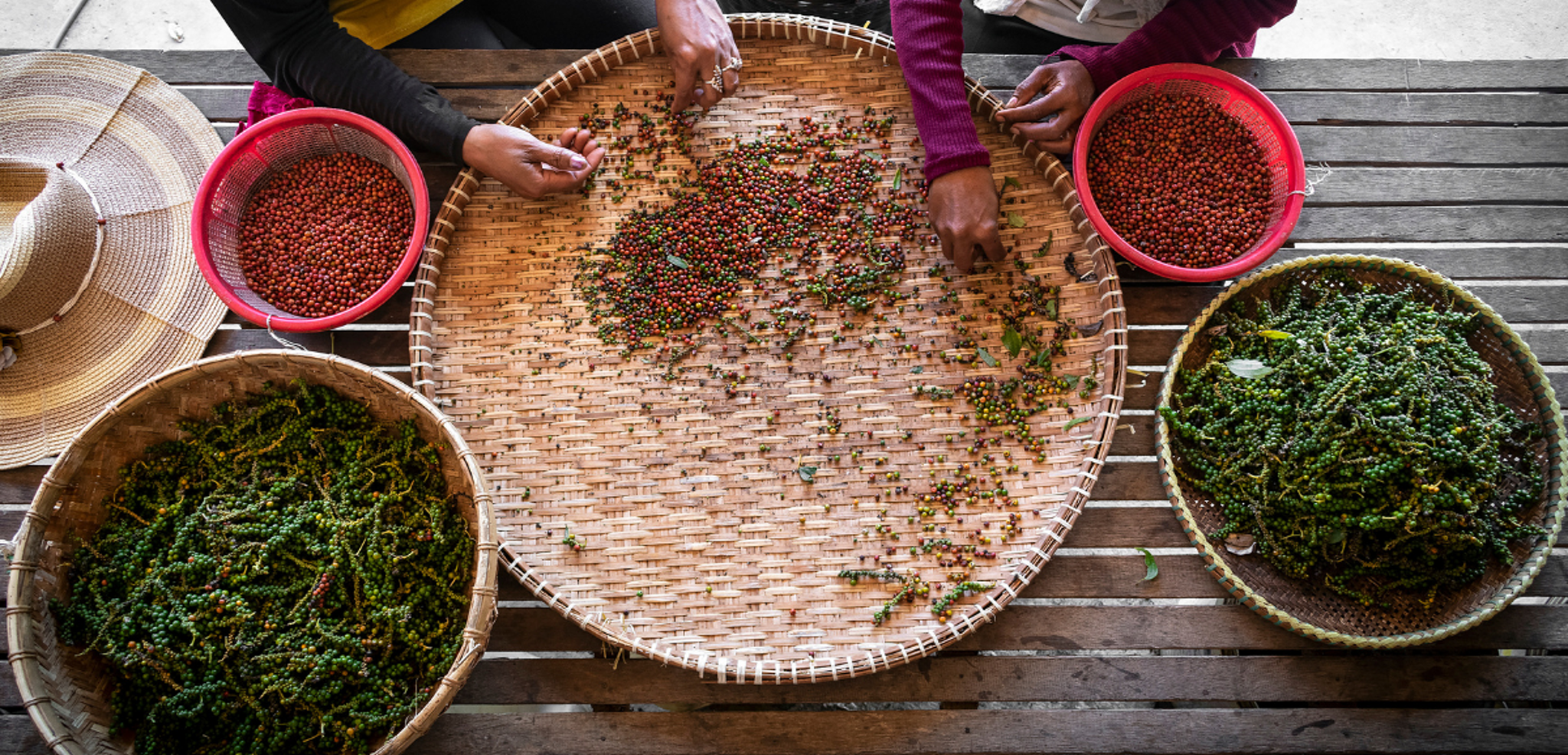 Le célèbre poivre de Kampot