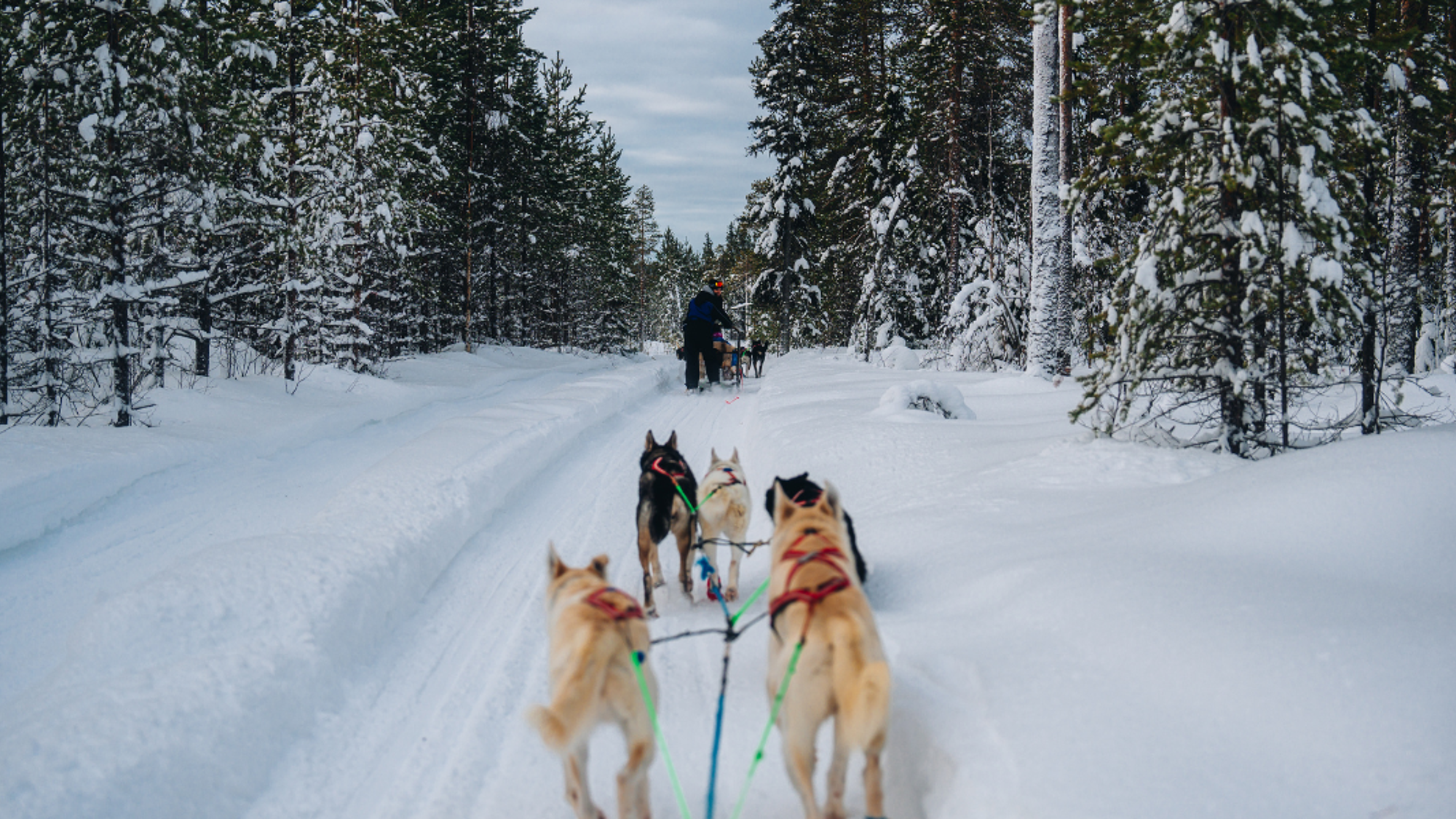Bienvenue en Finlande !