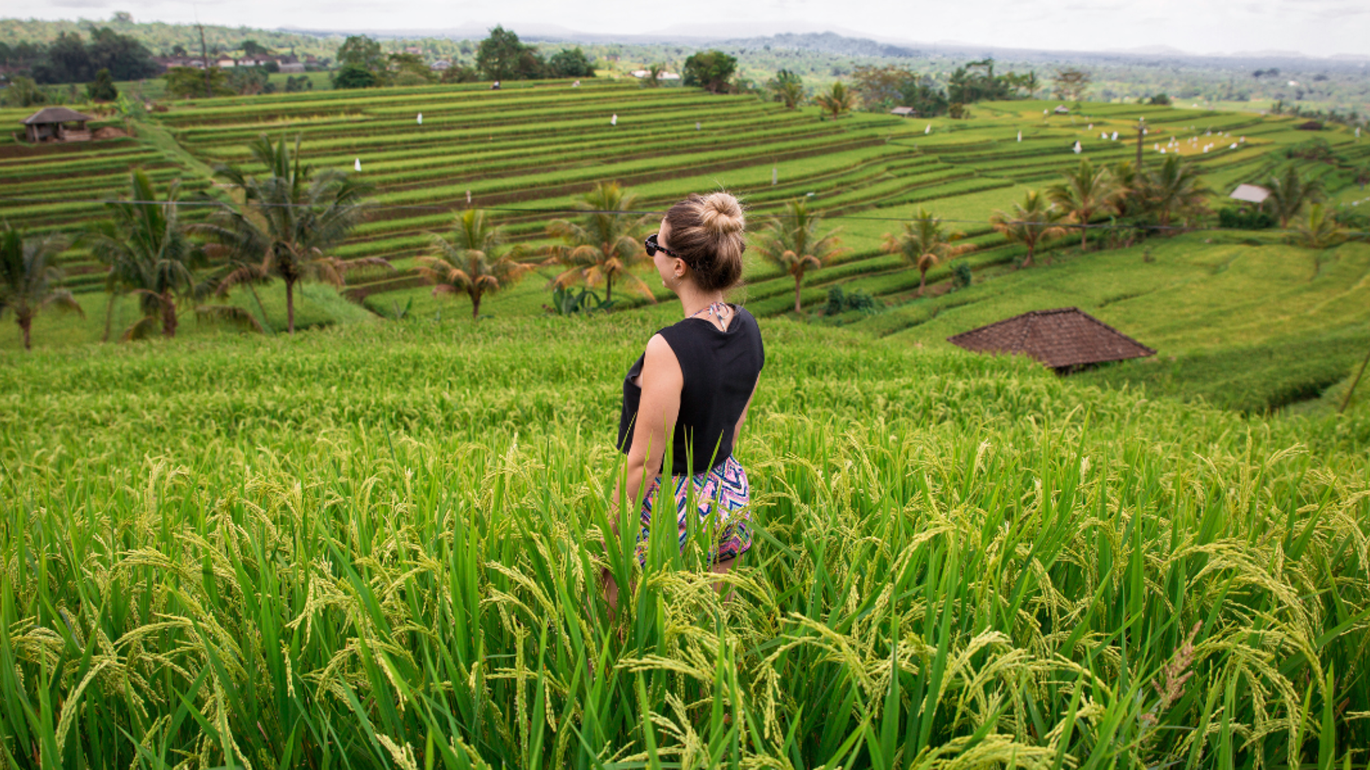 Les paysages verdoyants de la campagne balinaise - jour 5