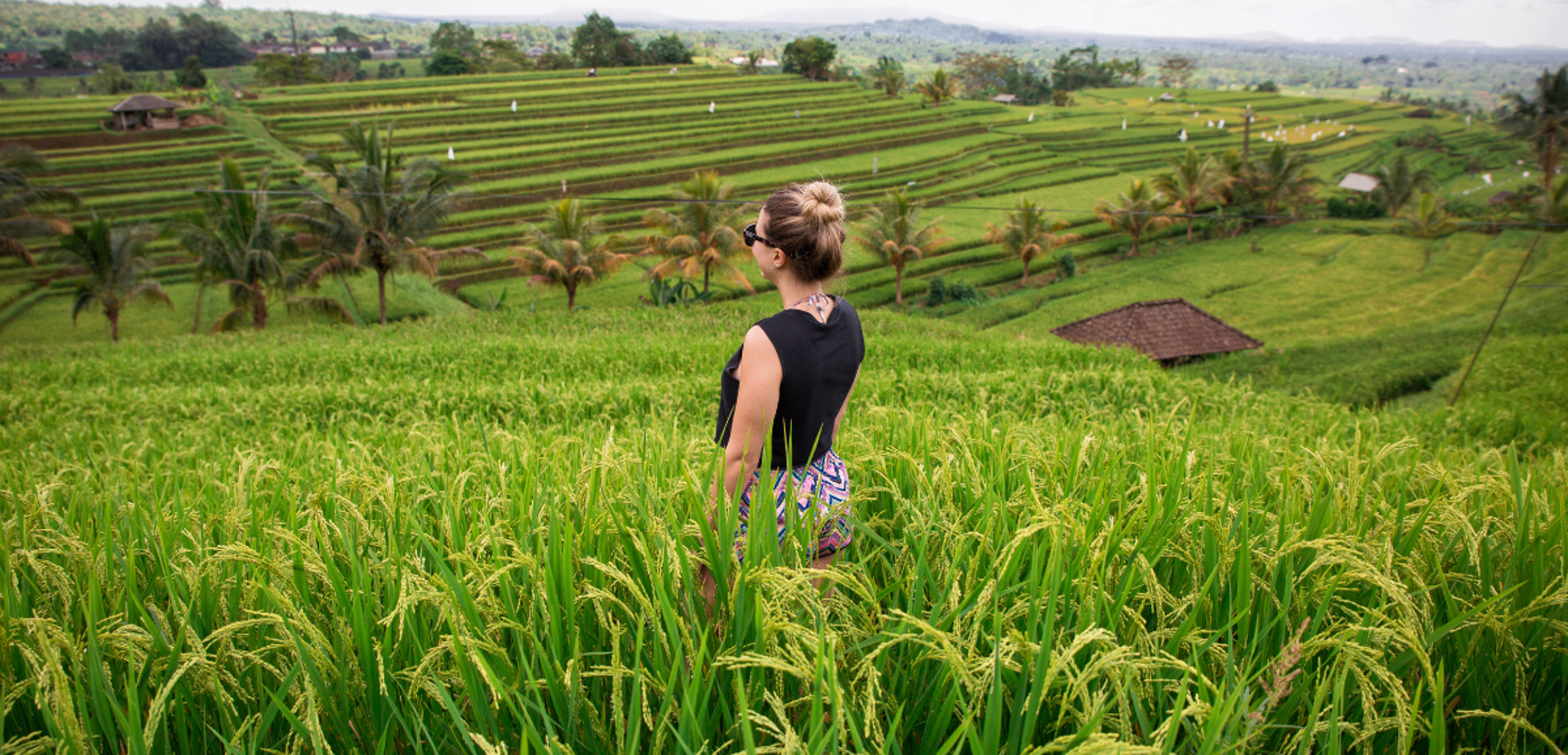 Les paysages verdoyants de la campagne balinaise - jour 5