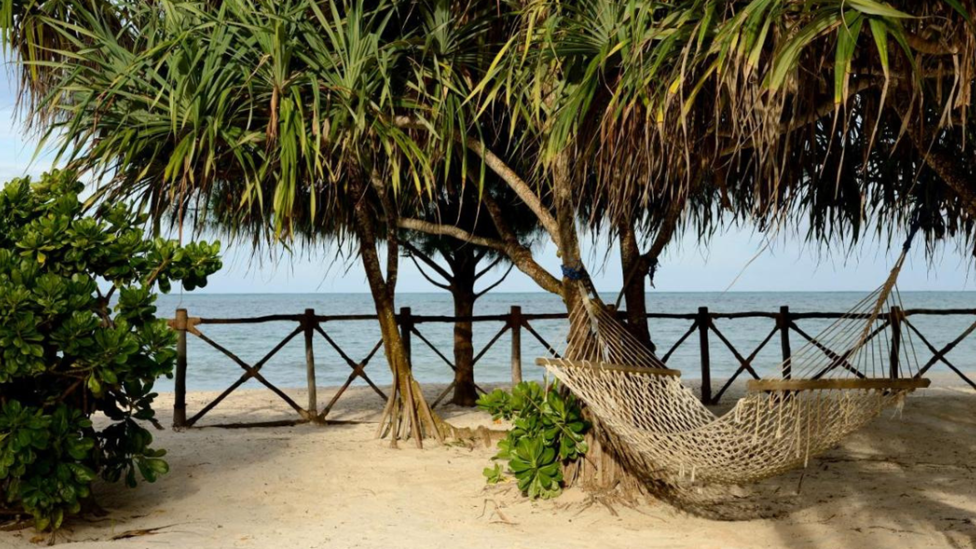 ...ou sur la plage !