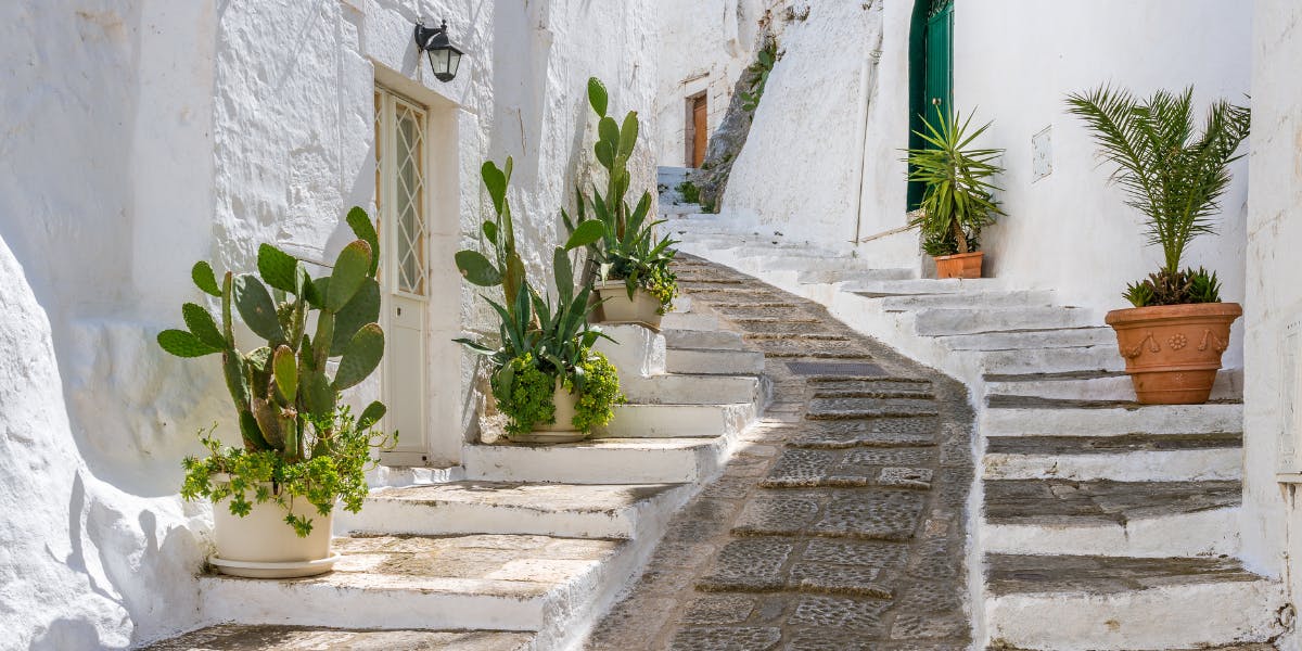 Entre cactus et murs à la chaux