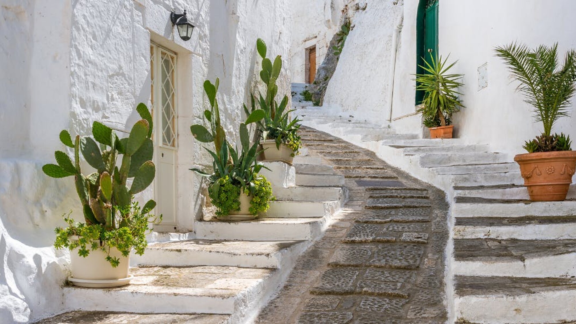 Entre cactus et murs à la chaux
