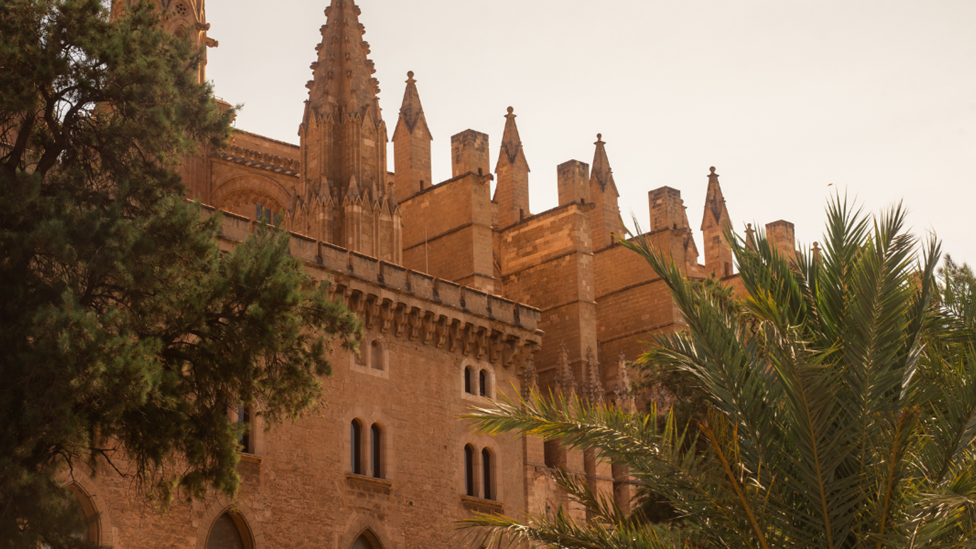 Palma de Majorque, Espagne ©Olivia Leung