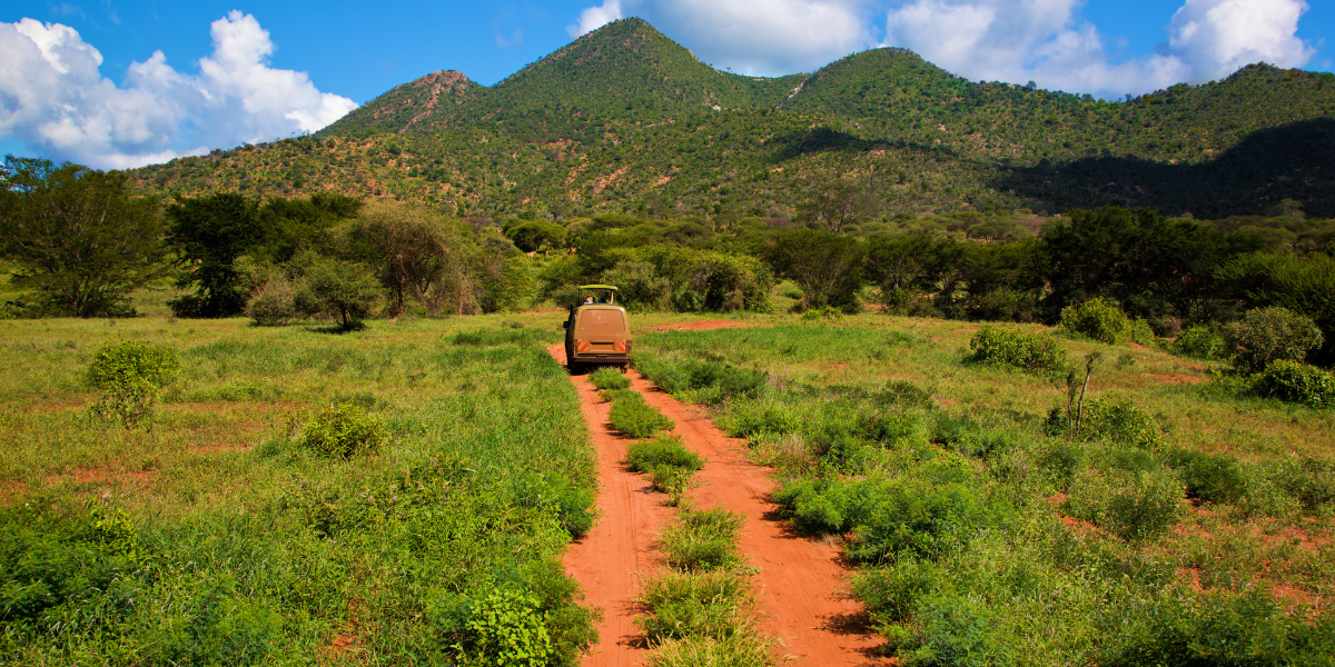 A travers les pistes de Tsavo West