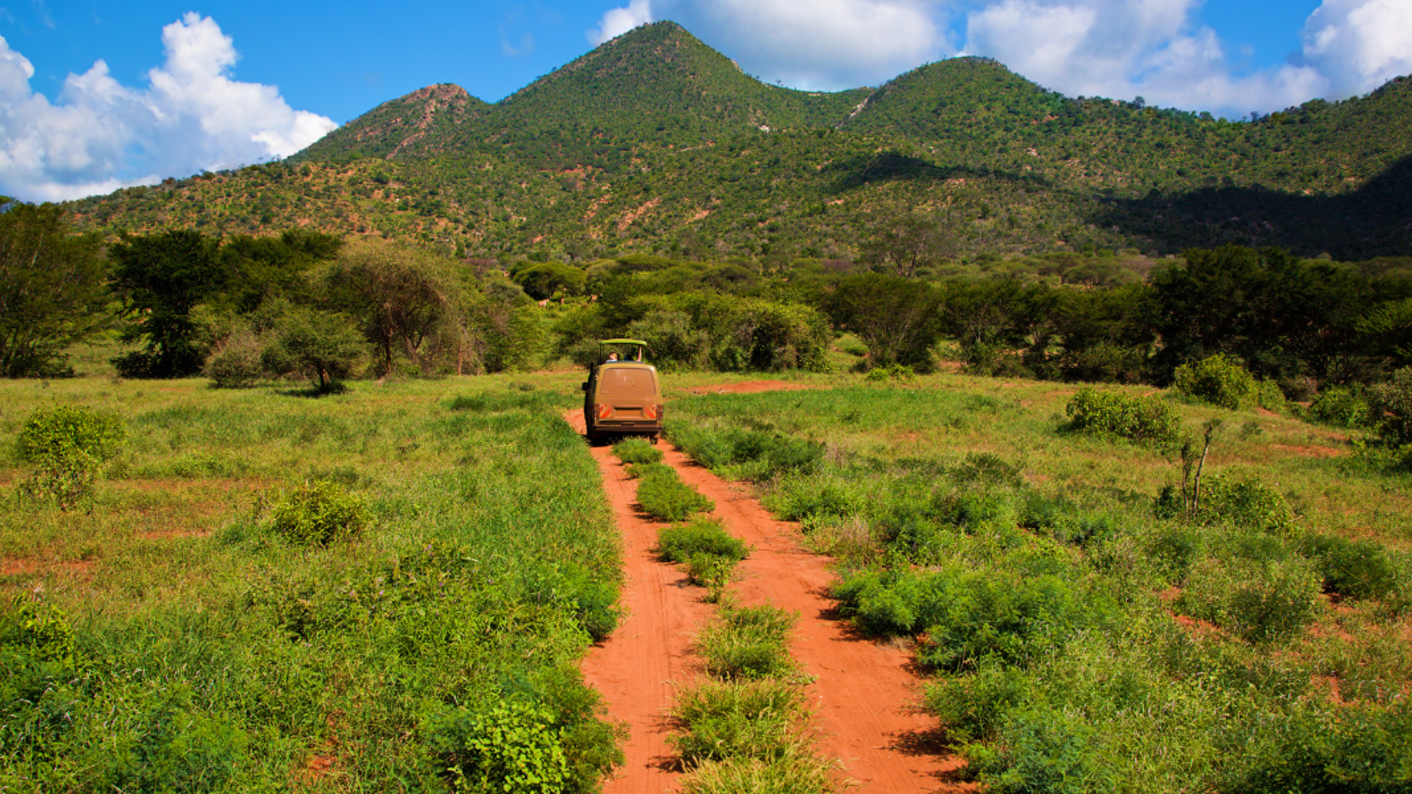 A travers les pistes de Tsavo West