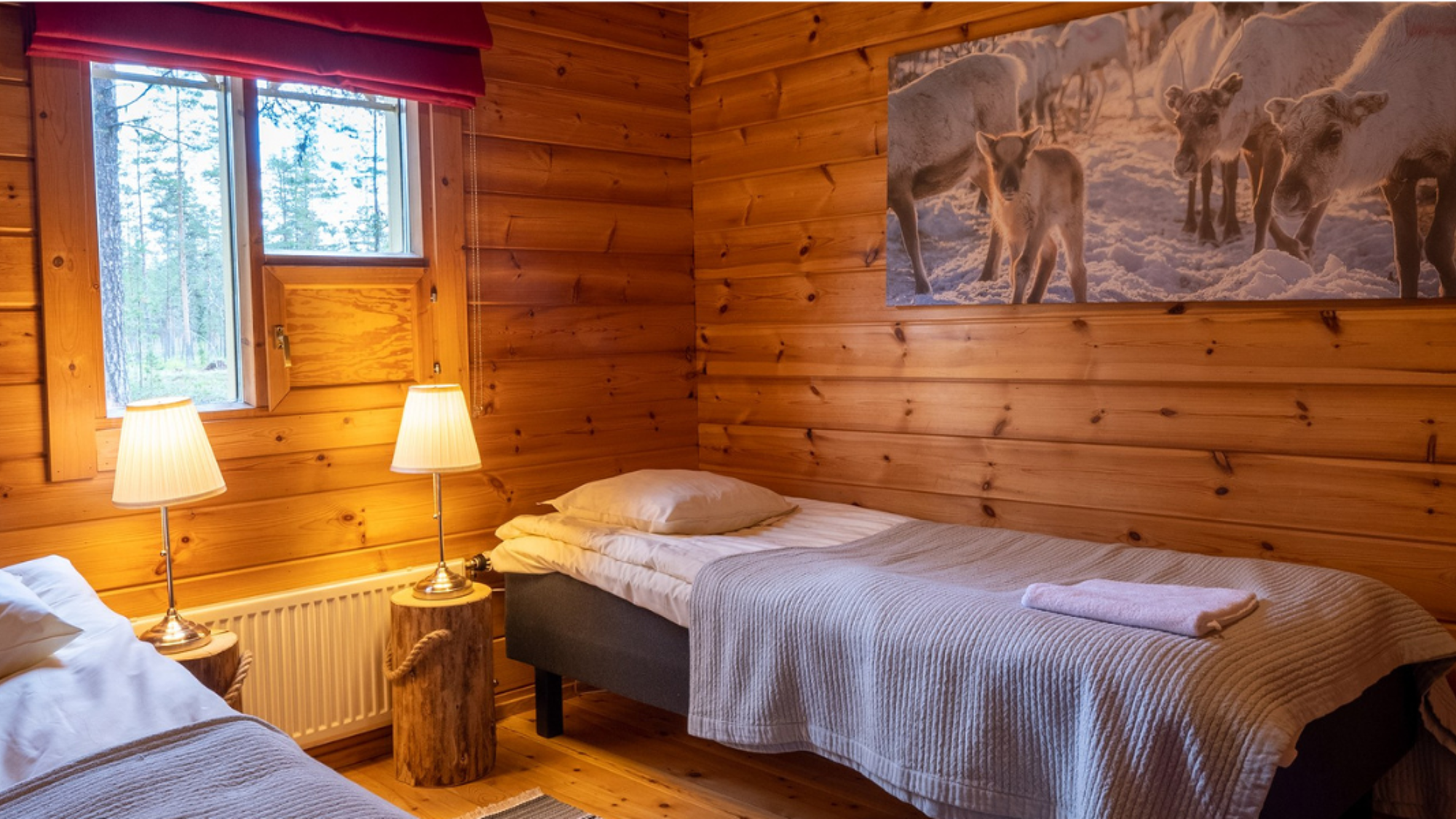 Chambre 1 avec 2 lits simples