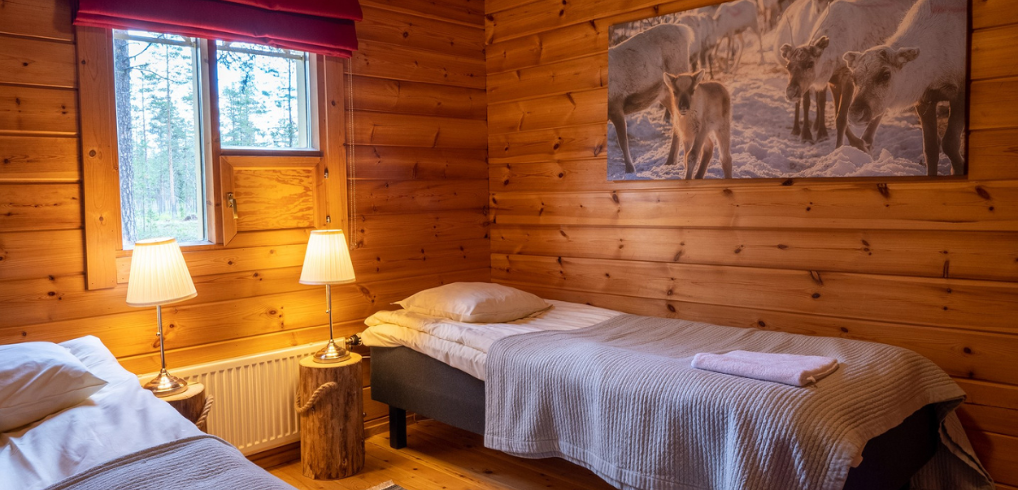 Chambre 1 avec 2 lits simples