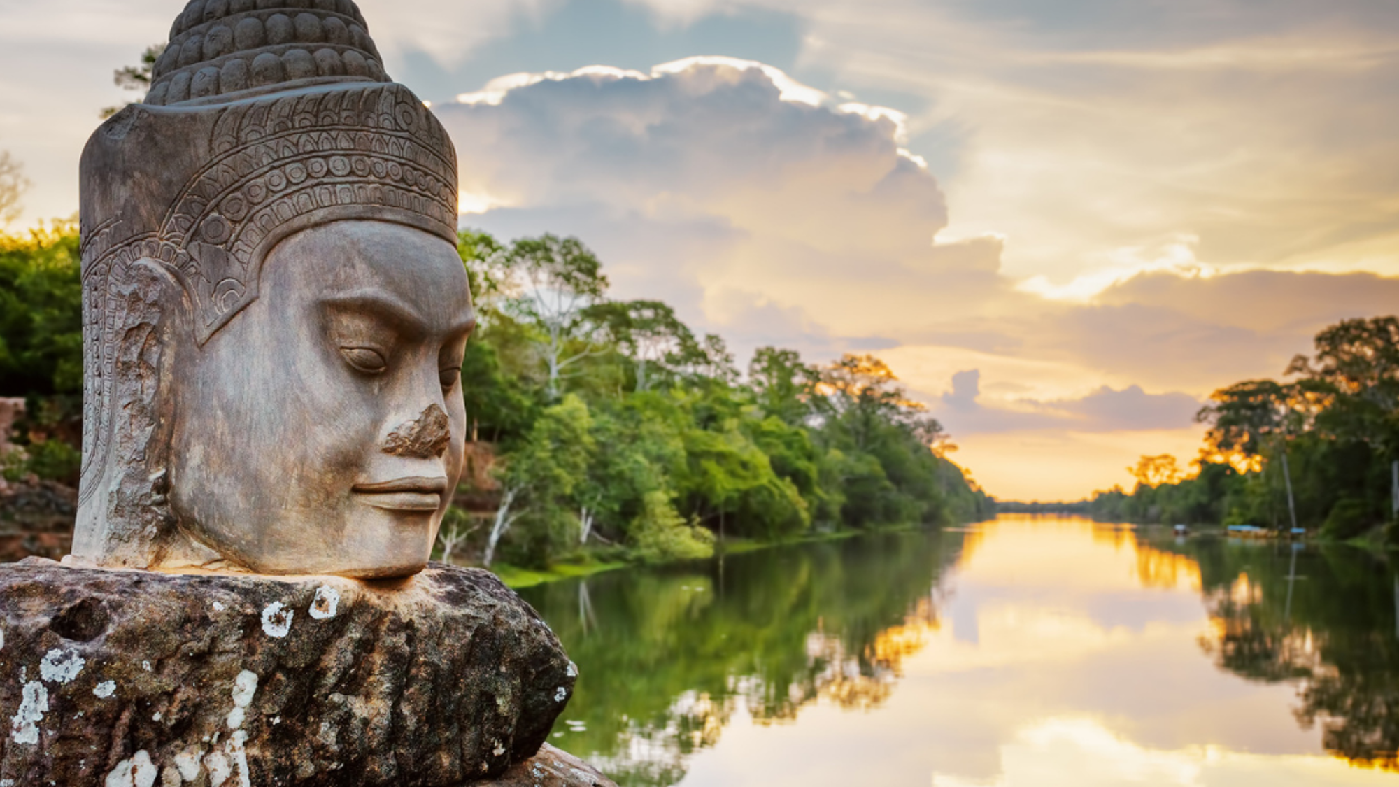 Beauté omniprésente