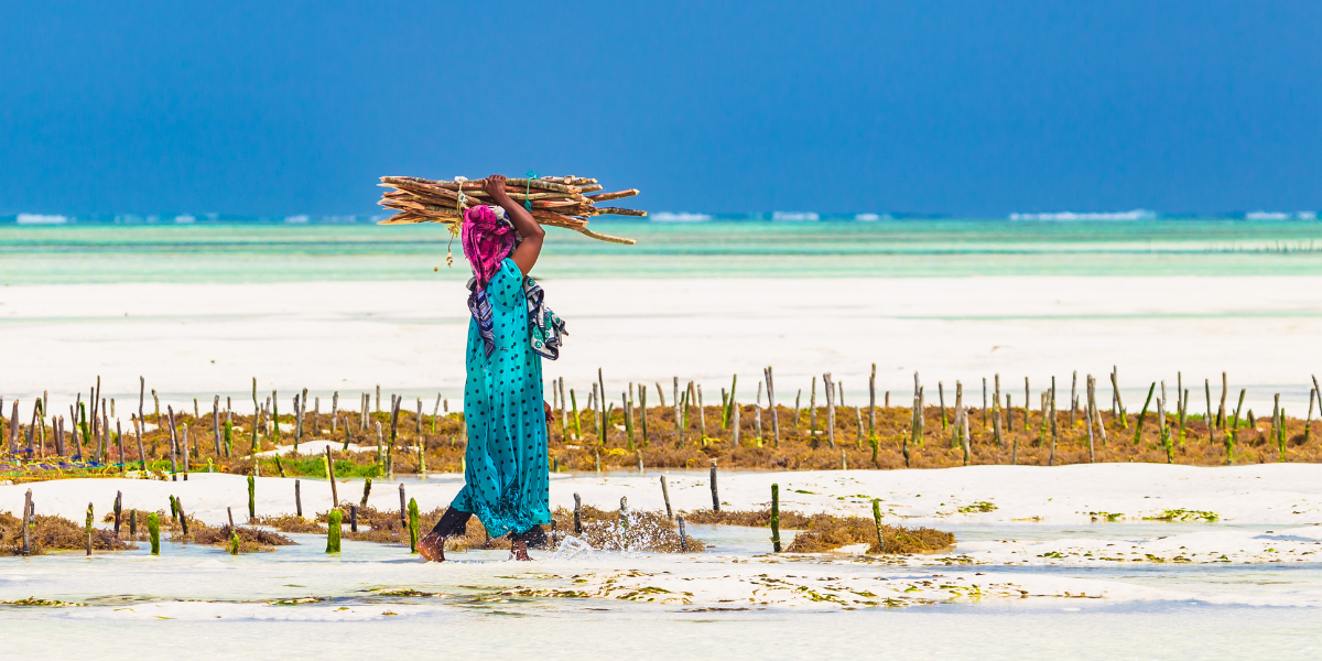 Rencontre magique avec les femmes de Zanzibar 