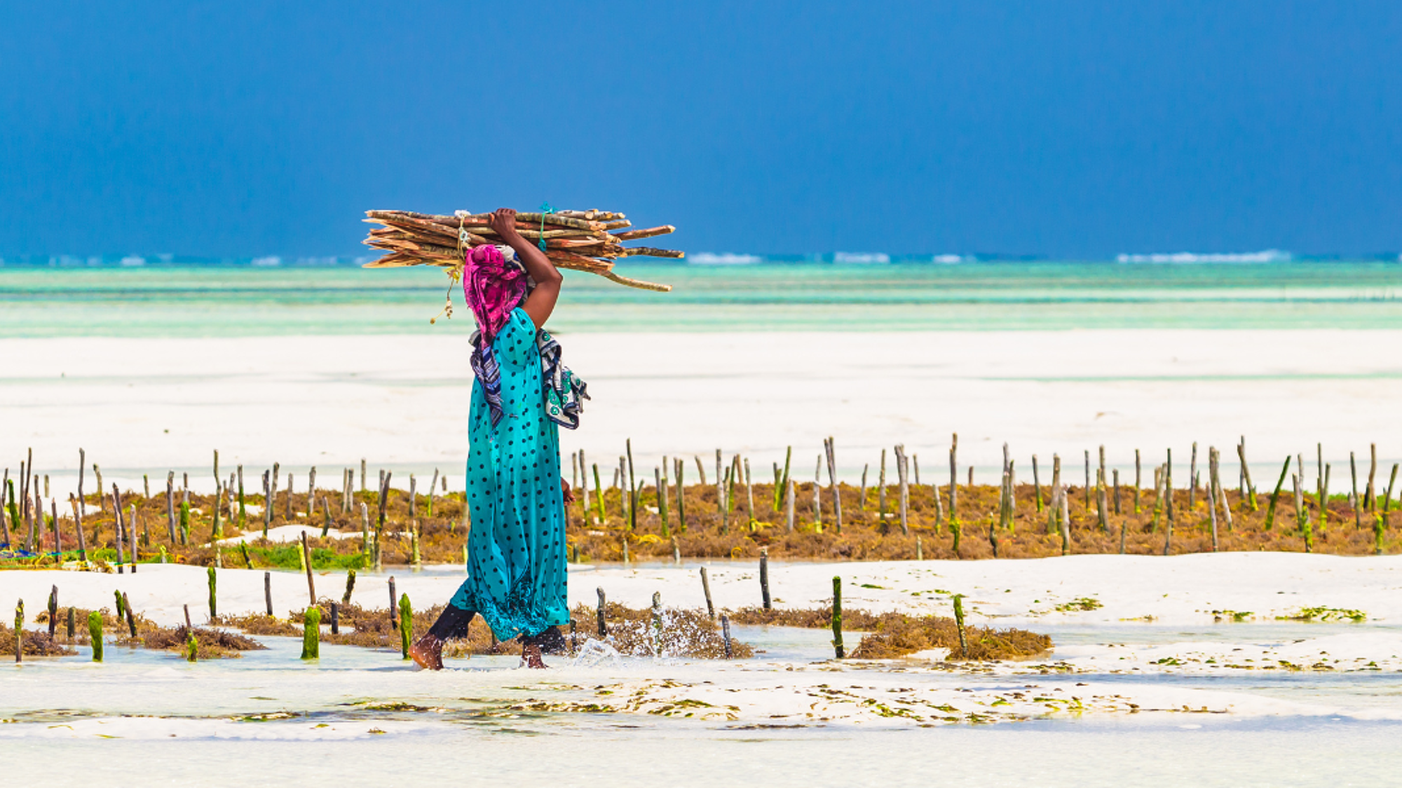 Rencontre magique avec les femmes de Zanzibar