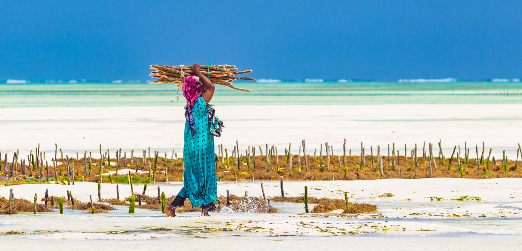 Rencontre magique avec les femmes de Zanzibar