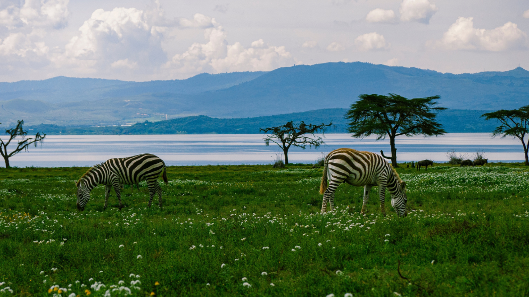 Lac Naivasha, Kenya ©Shutterstock