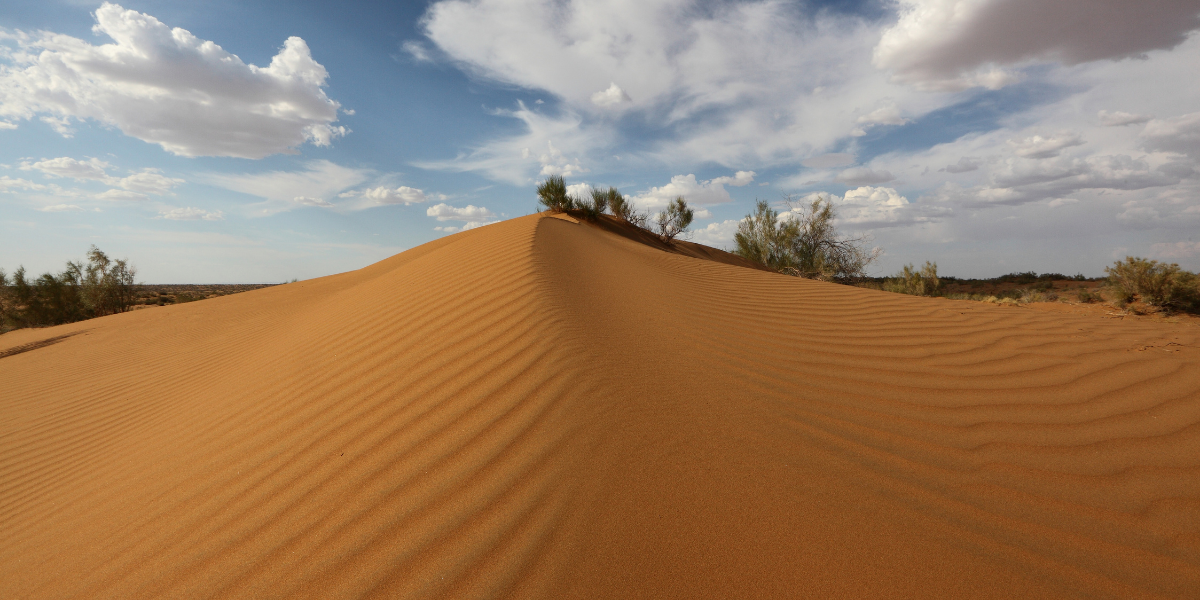 Désert de Kyzyl-Koum ©Shutterstock