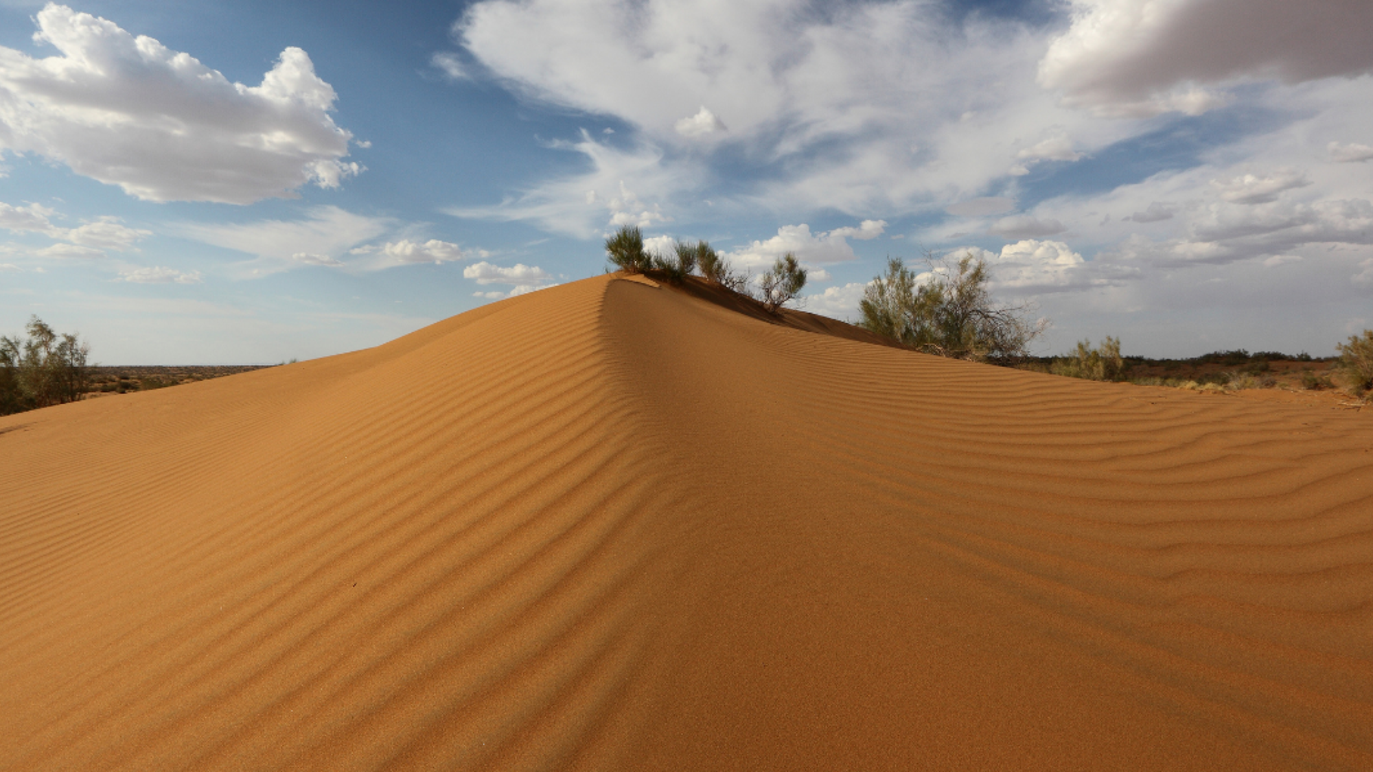 Désert de Kyzyl-Koum ©Shutterstock