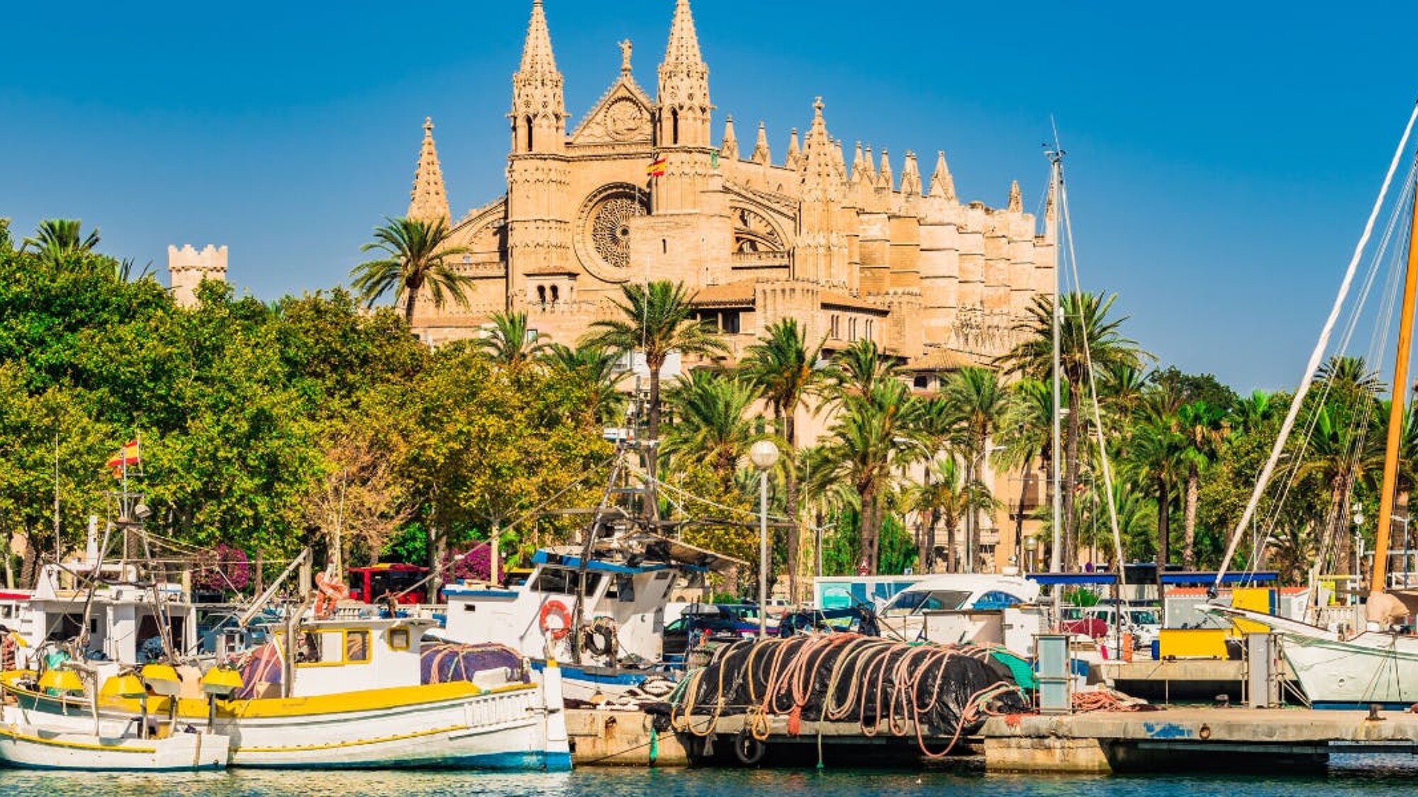 Partez à la découverte de l'île !