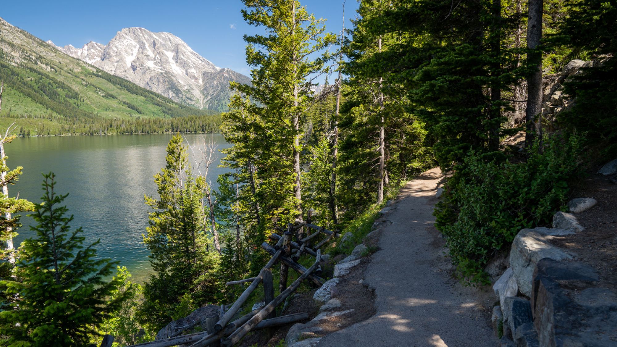 Une balade au Jenny Lake dans le parc de Grand Teton - jour 10