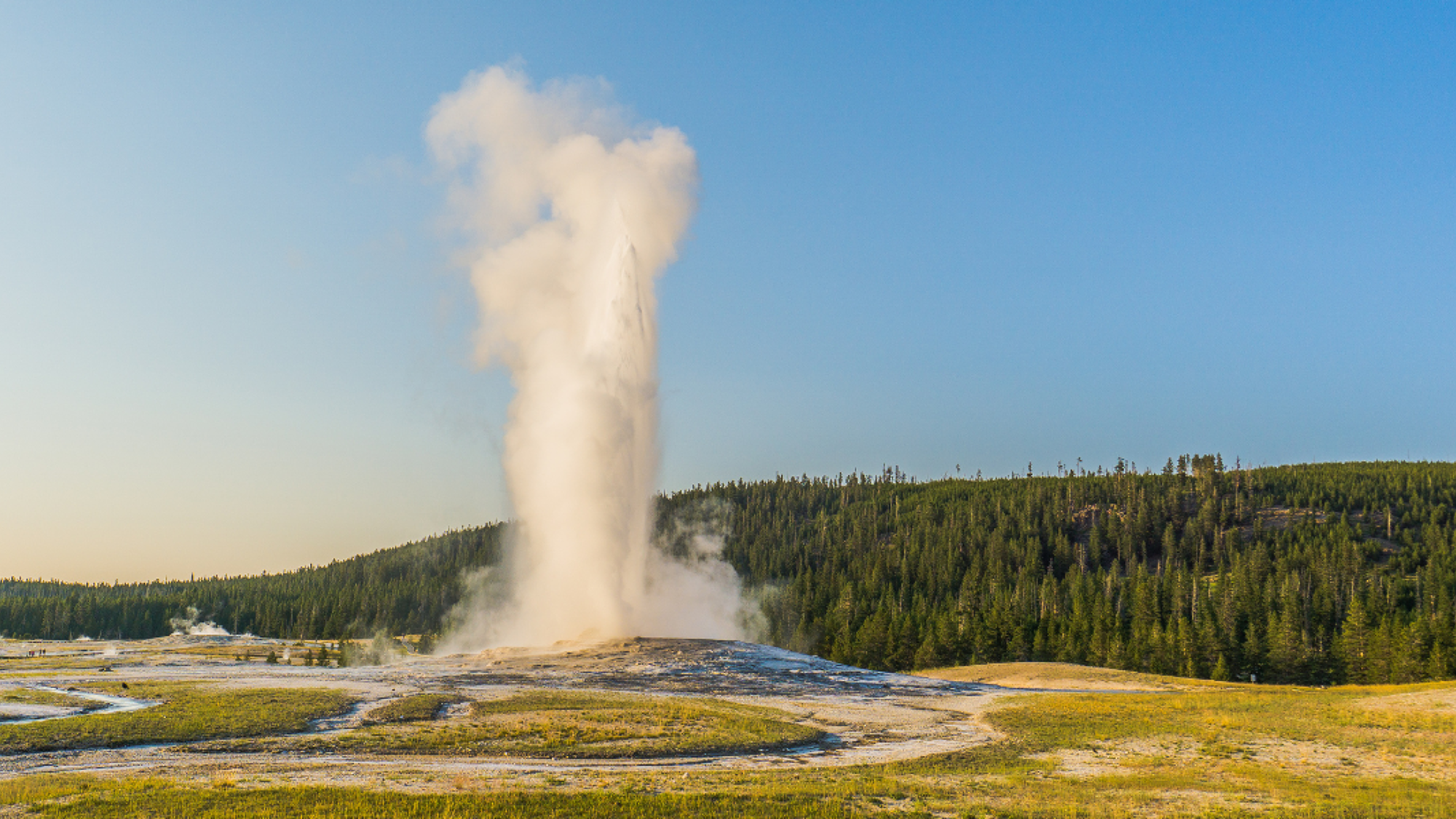 Le mythique Yellowstone et ses célèbres geysers : Old Faithful - jour 9