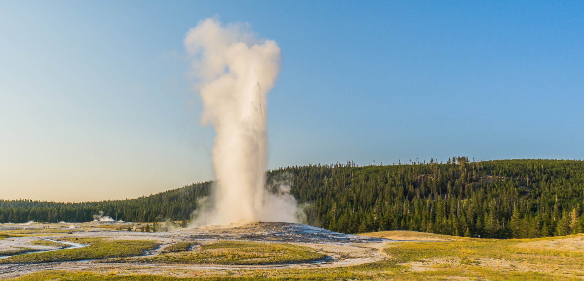 Le mythique Yellowstone et ses célèbres geysers : Old Faithful - jour 9