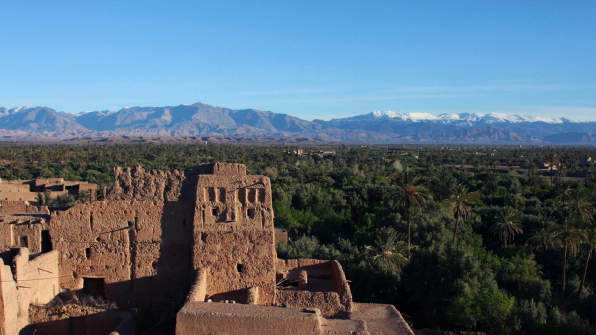 Elle est pas belle la vie ?