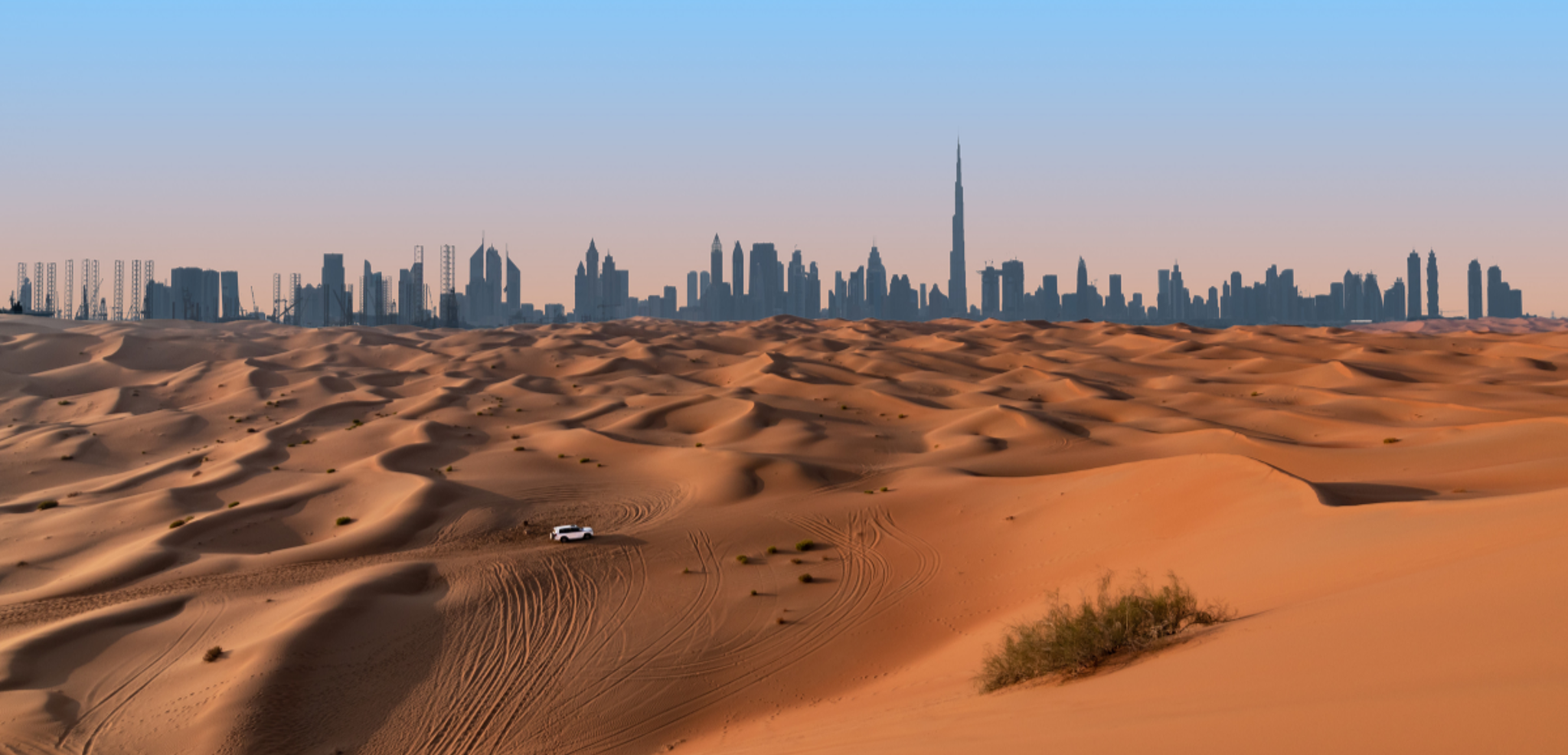 Partez pour un Safari dans le désert