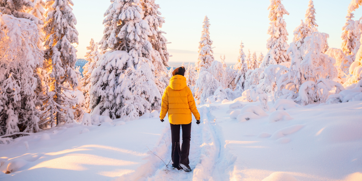 Bienvenue en Laponie les Copines ! 