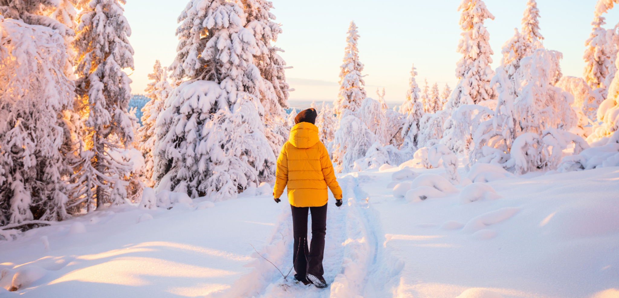Bienvenue en Laponie les Copines !