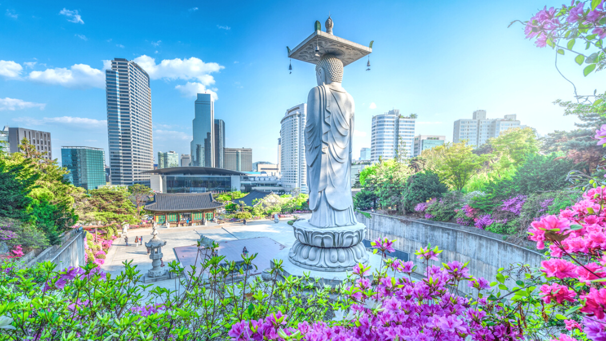 Bienvenue en Corée du Sud !