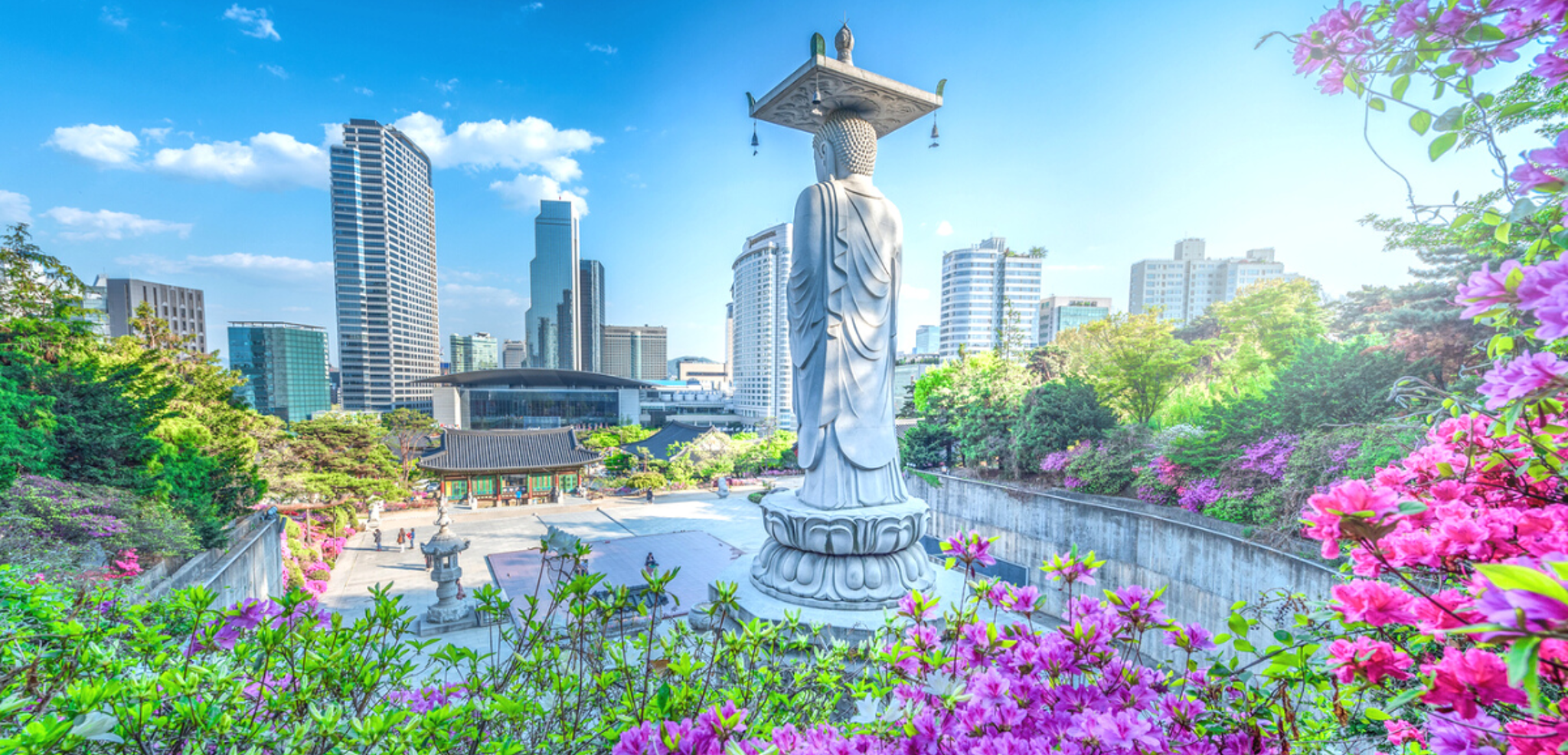 Bienvenue en Corée du Sud !