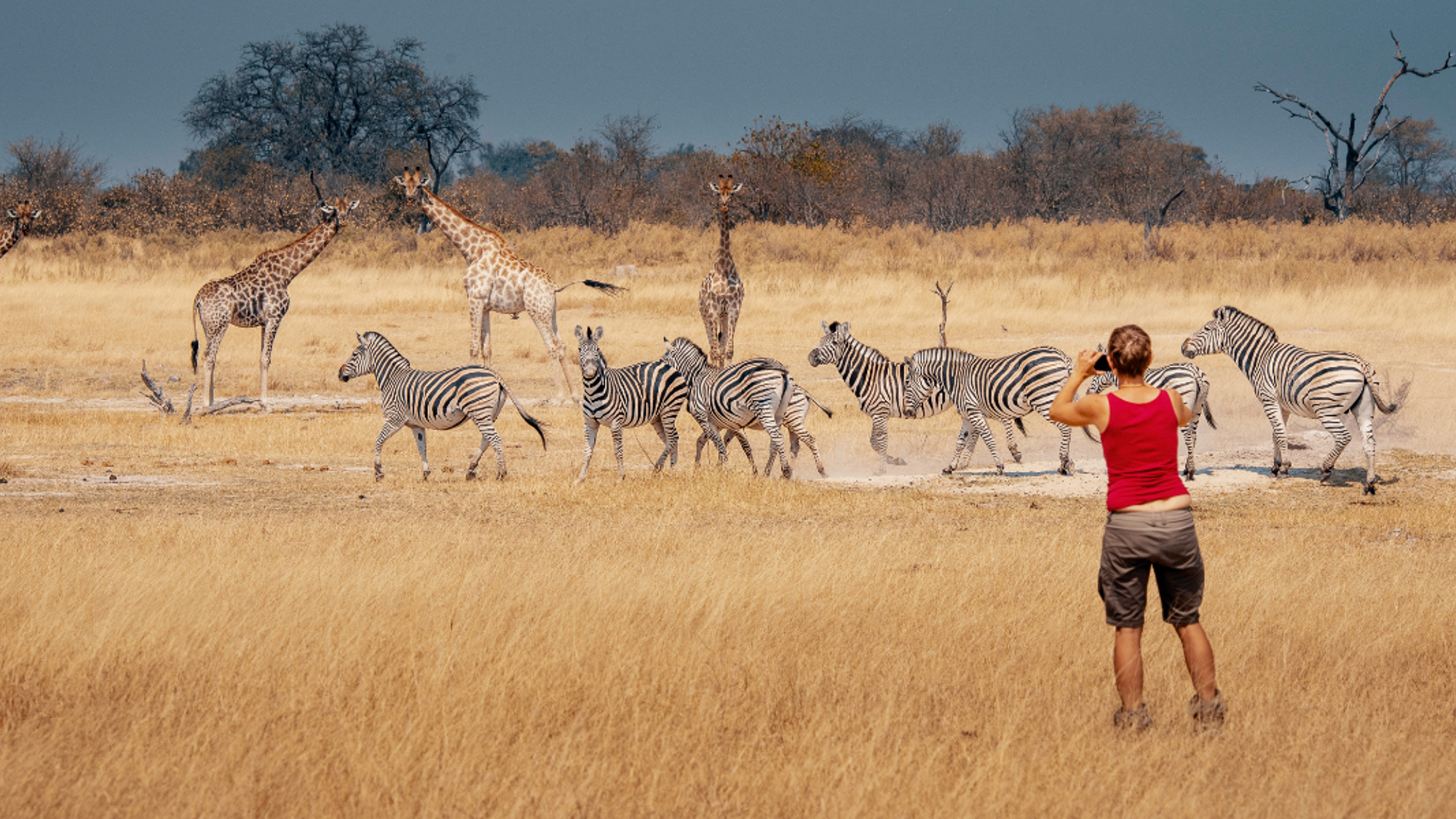 Ouvrez l'oeil et admirez la faune sauvage