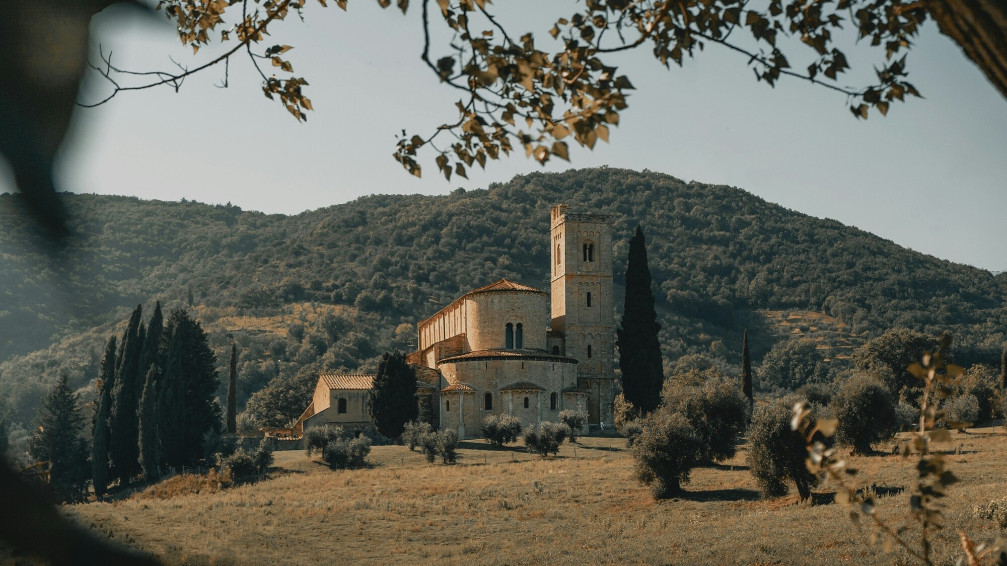 Montalcino, Toscane, Italie