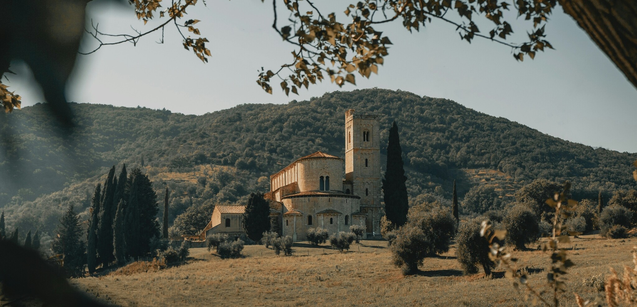 Montalcino, Toscane, Italie