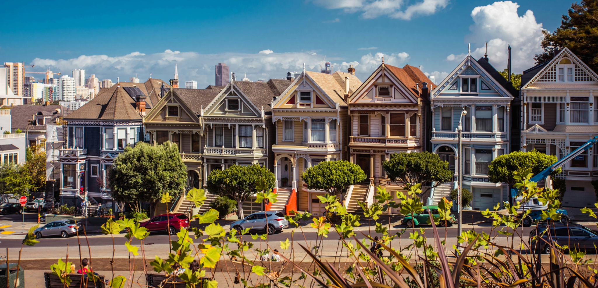 Les « Painted Ladies » de San Francisco - jour 12 ou 2