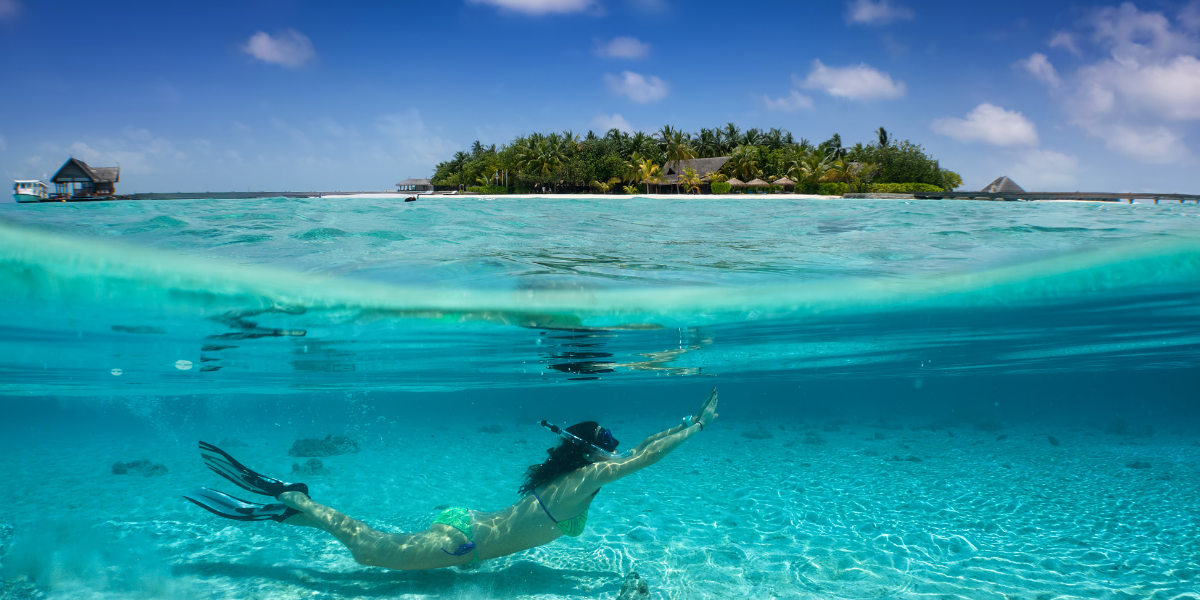 Partez à la découverte de fonds marins exceptionnels