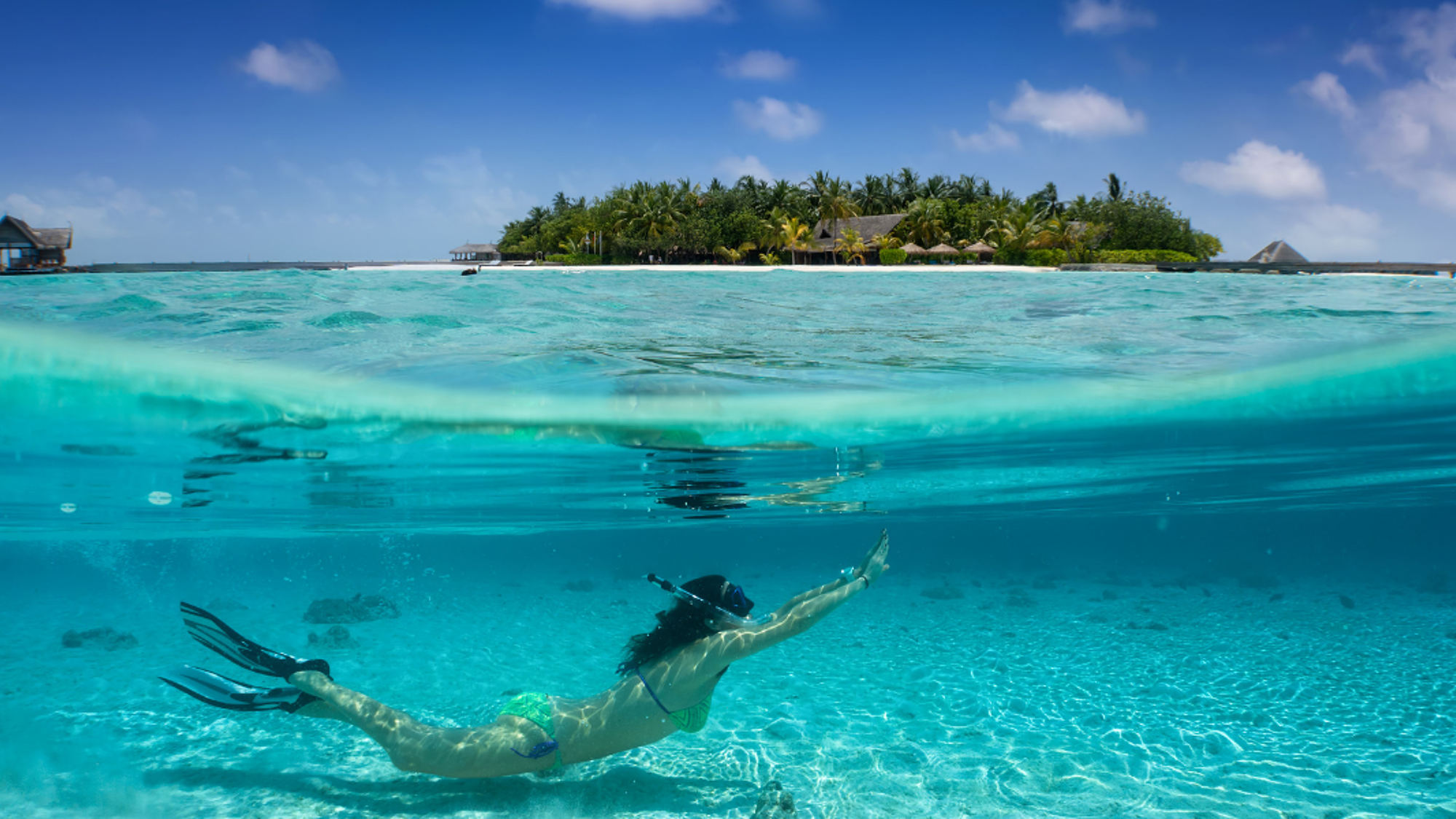 Partez à la découverte de fonds marins exceptionnels