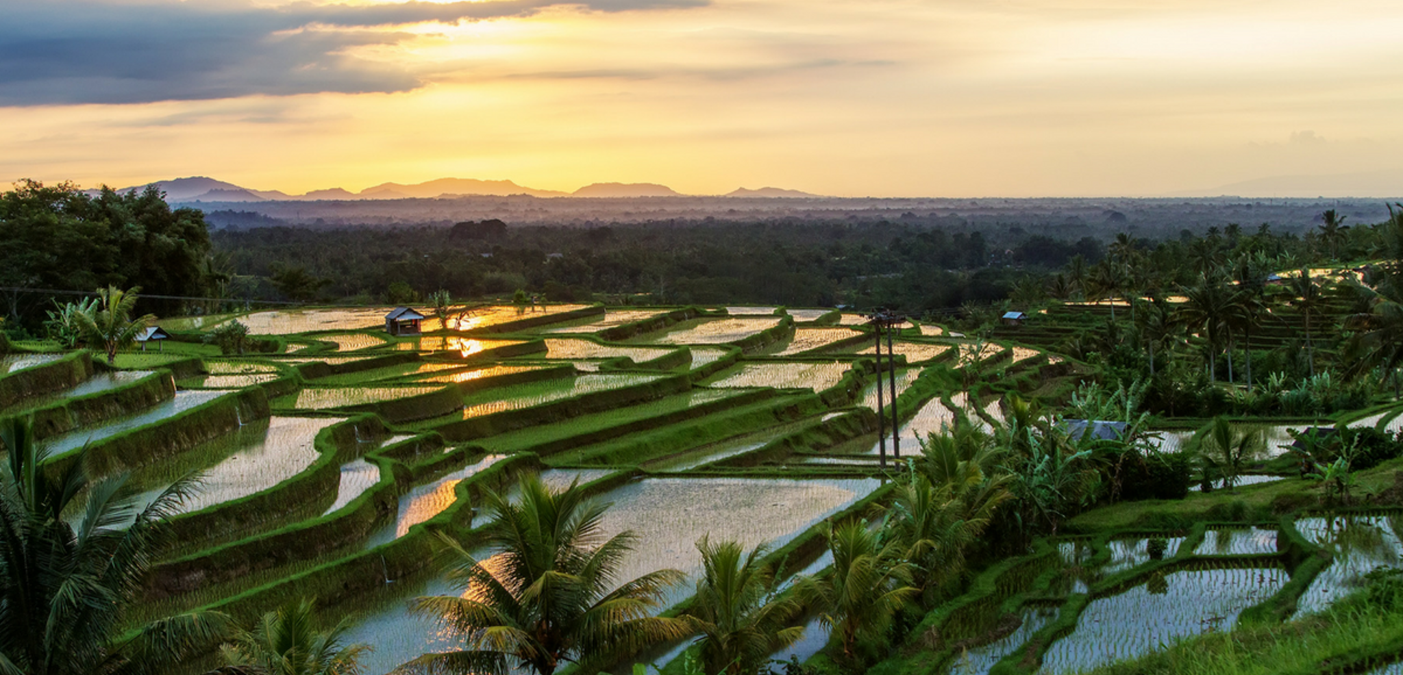 Découvrez le panorama incroyable de Jatiluwih