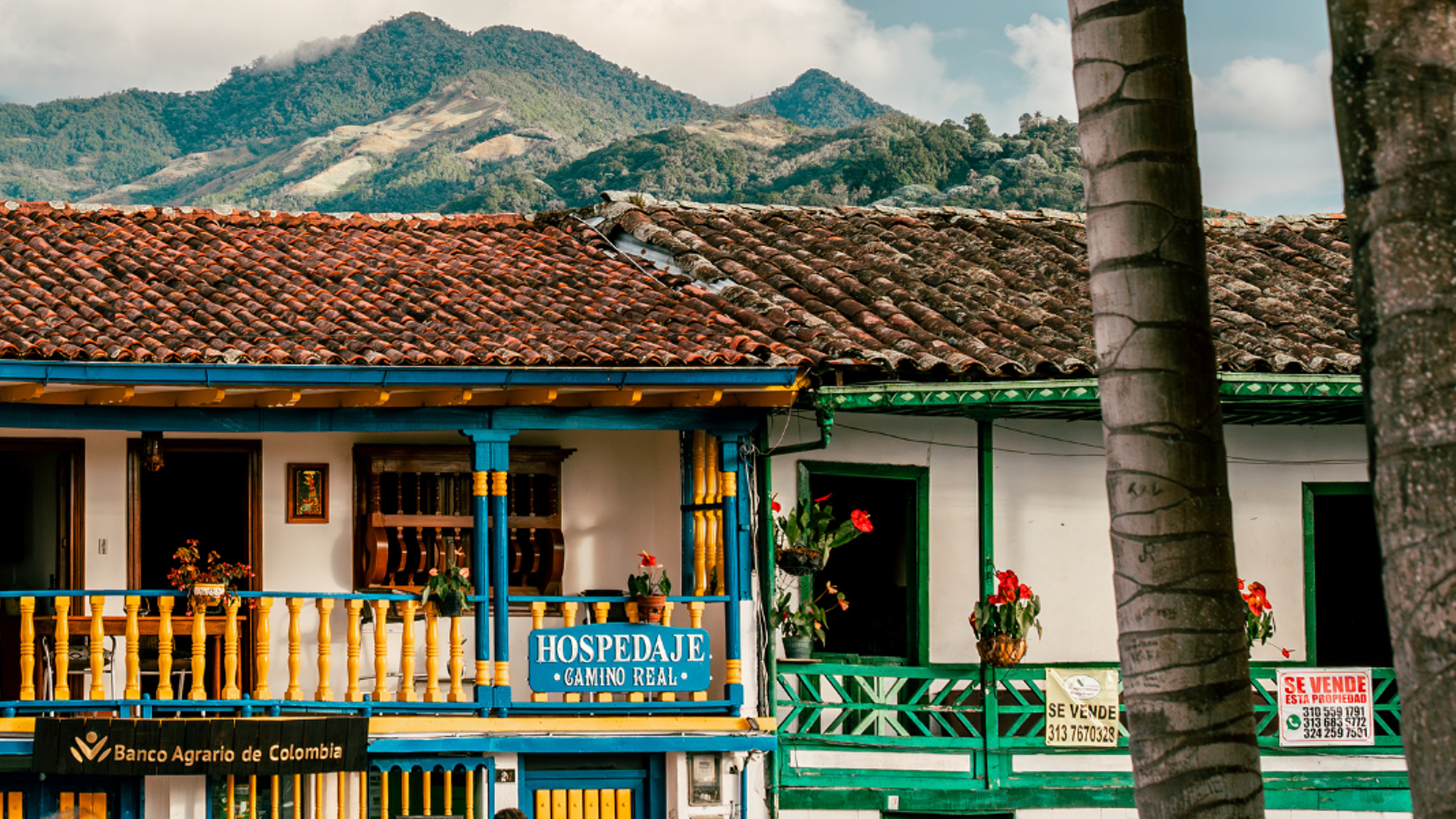 Les façades colorées du village de Salento - J3