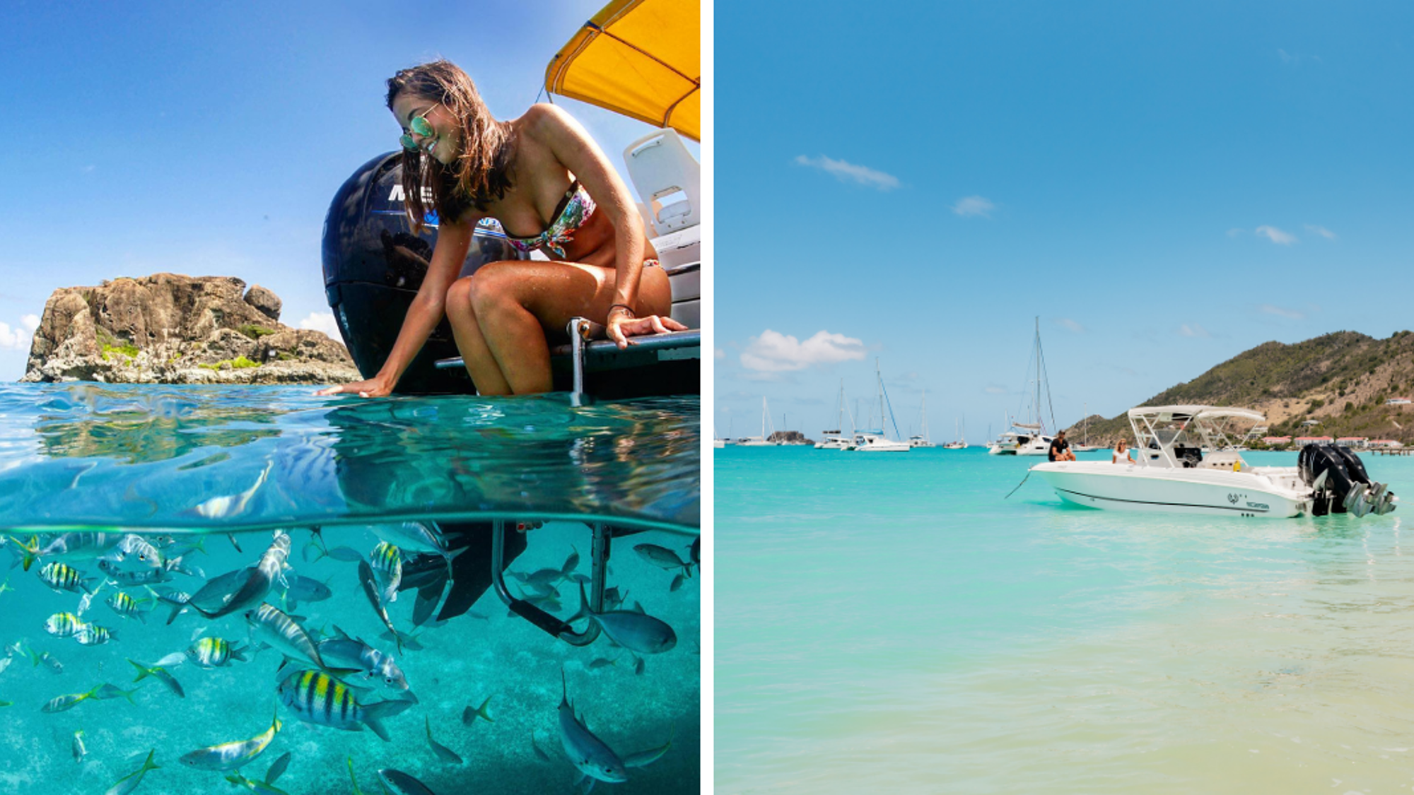 Lors d'une excursion snorkeling
