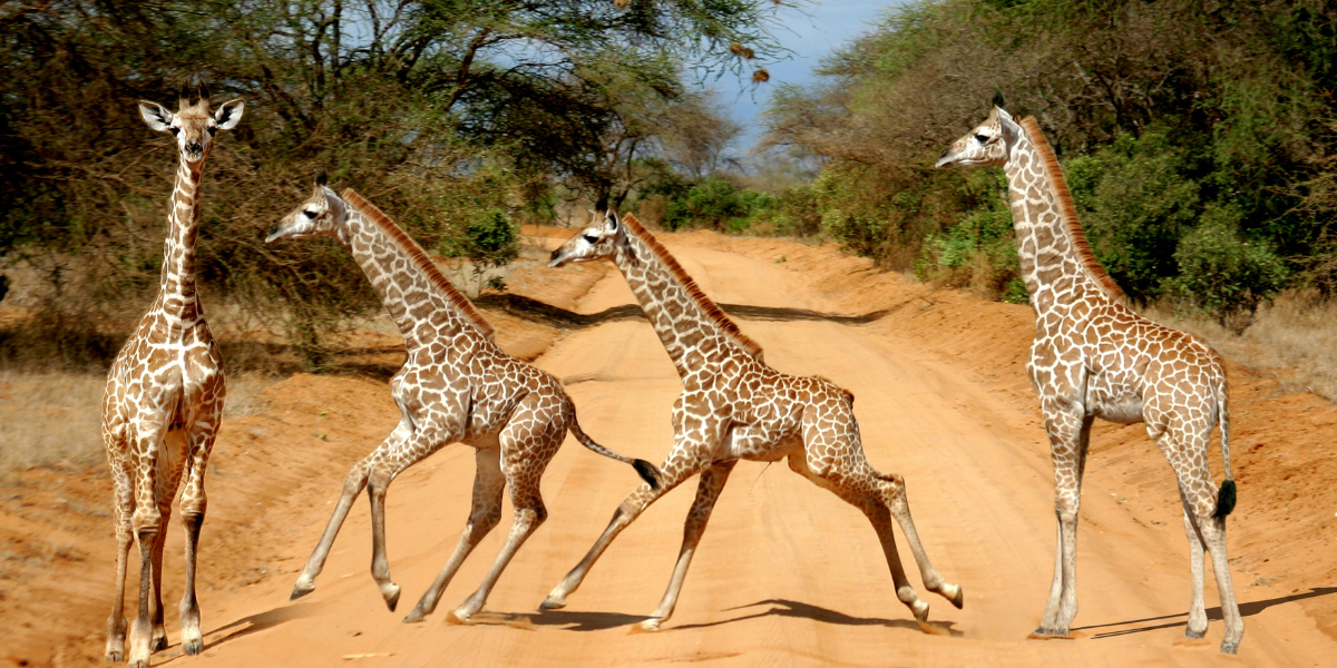 Au gré des rencontres