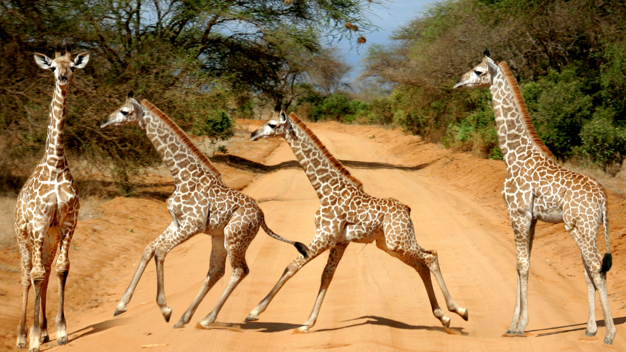 Au gré des rencontres