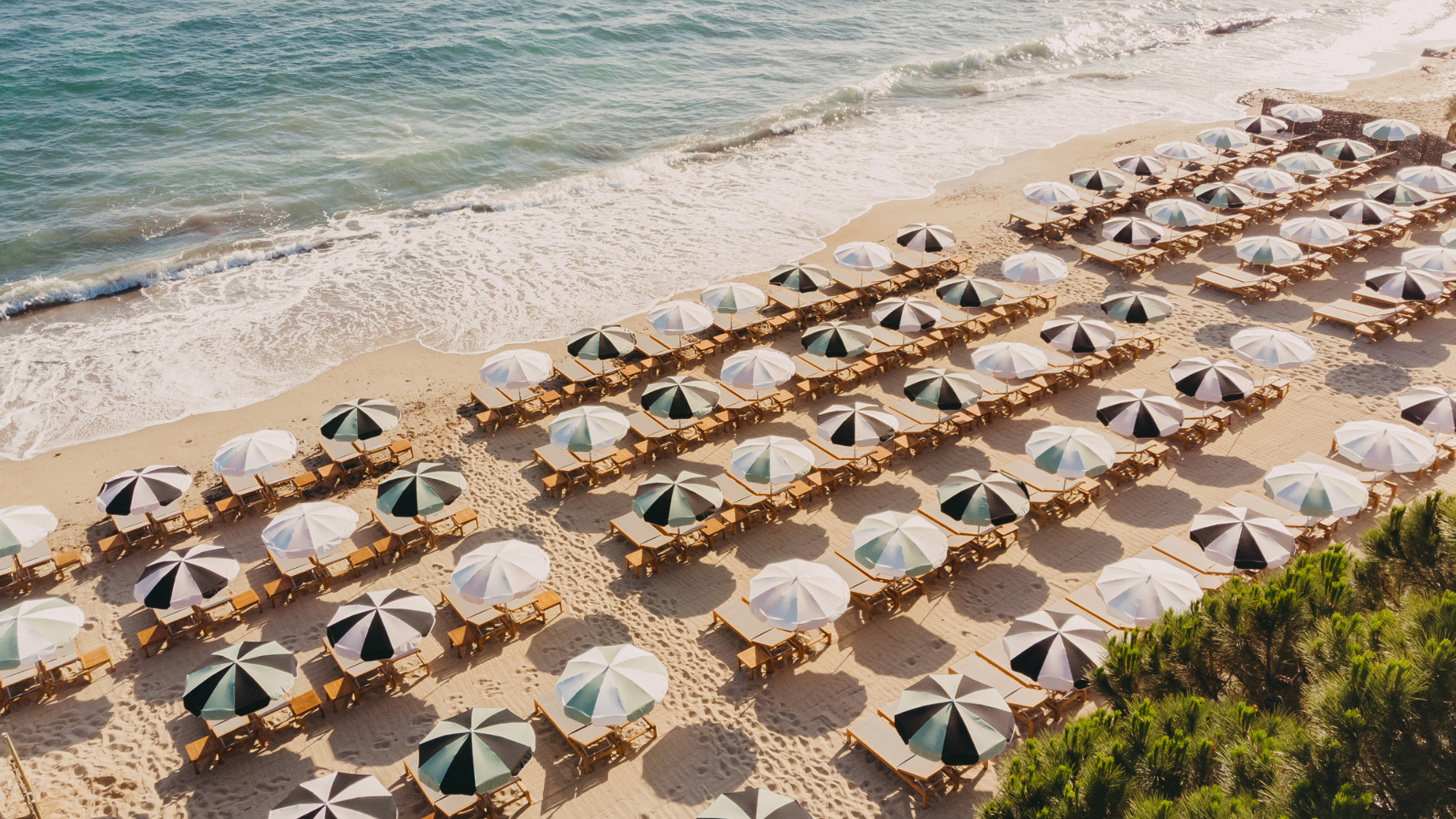 Lily of the Valley, Golfe de Saint Tropez