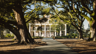 Louisiane, États-Unis ©Shutterstock.com