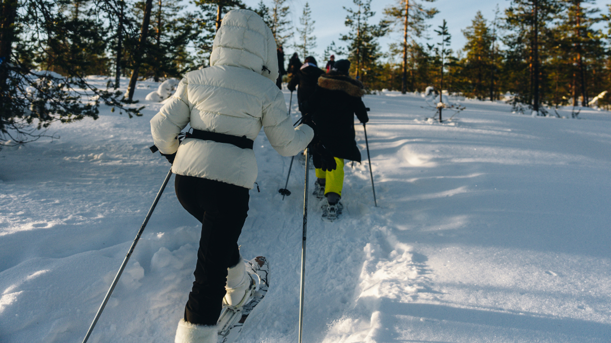 Et une balade en raquettes ?