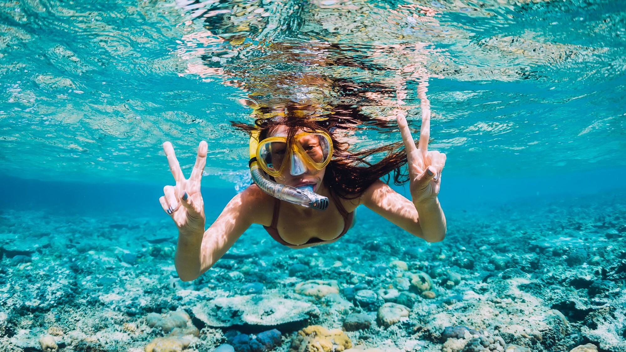 Idéal pour une session snorkeling !