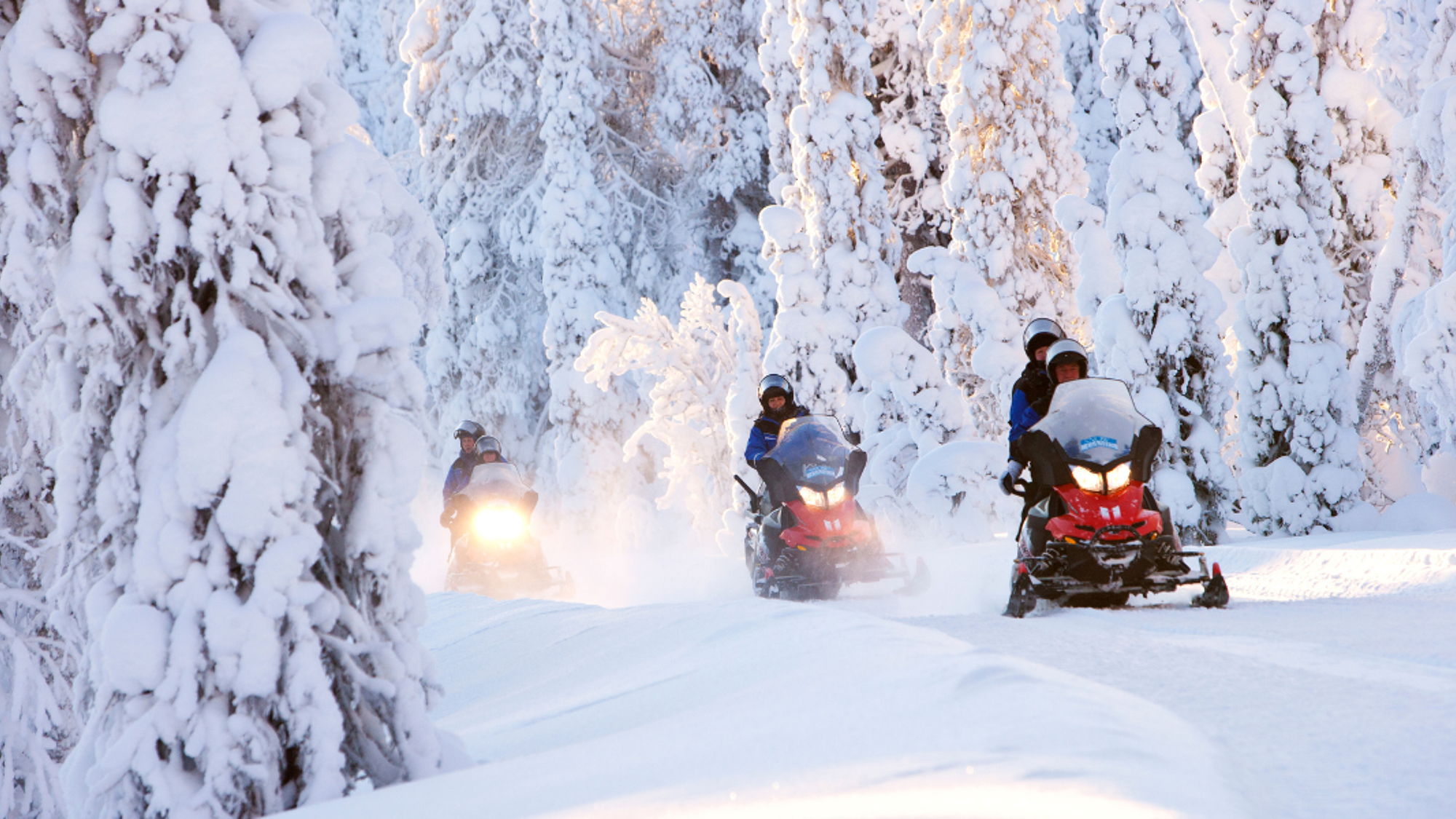Ou au guidon d'une motoneige (activité optionnelle, en supplément)