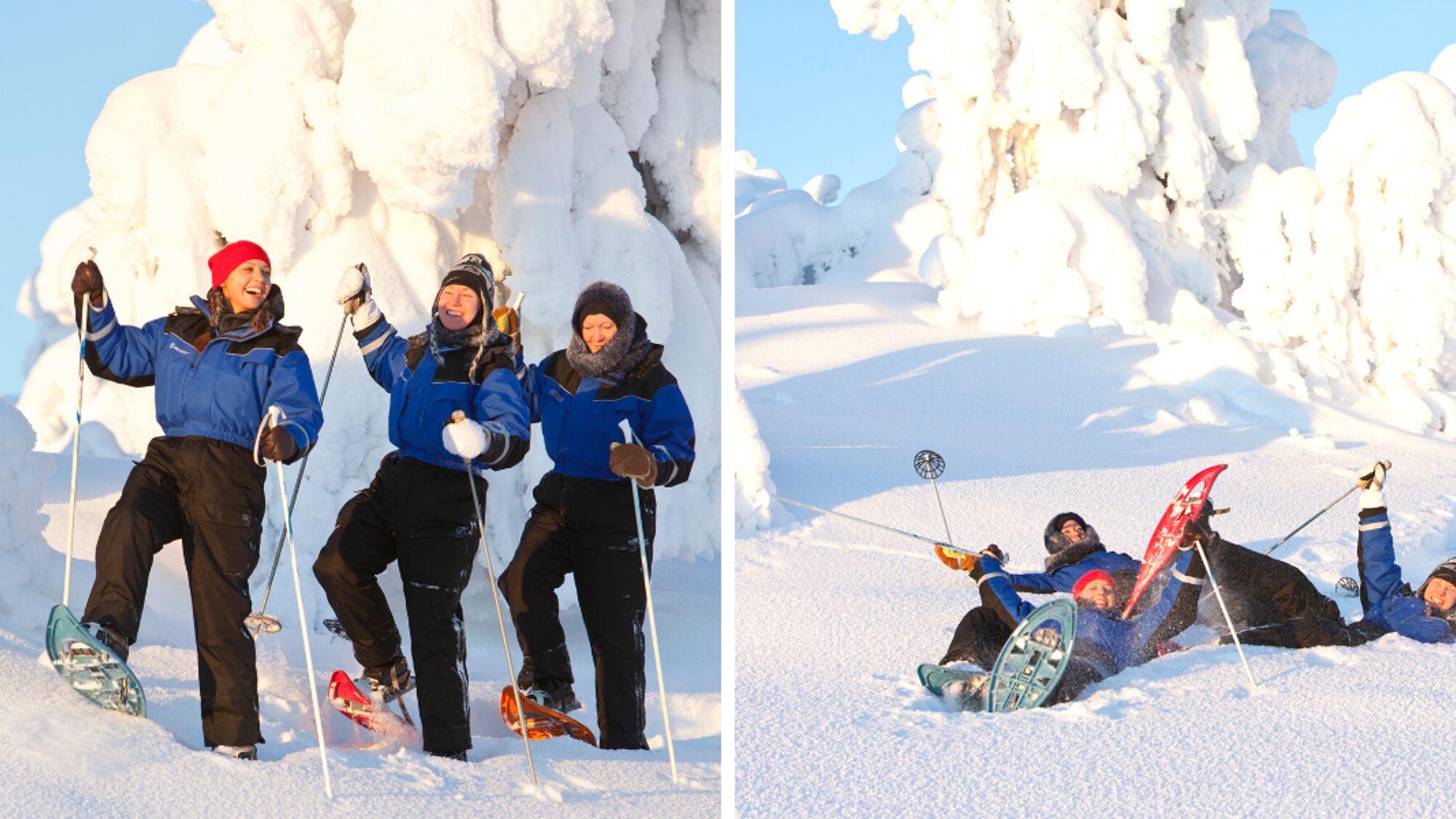 Balade en raquettes dans les paysages enneigés